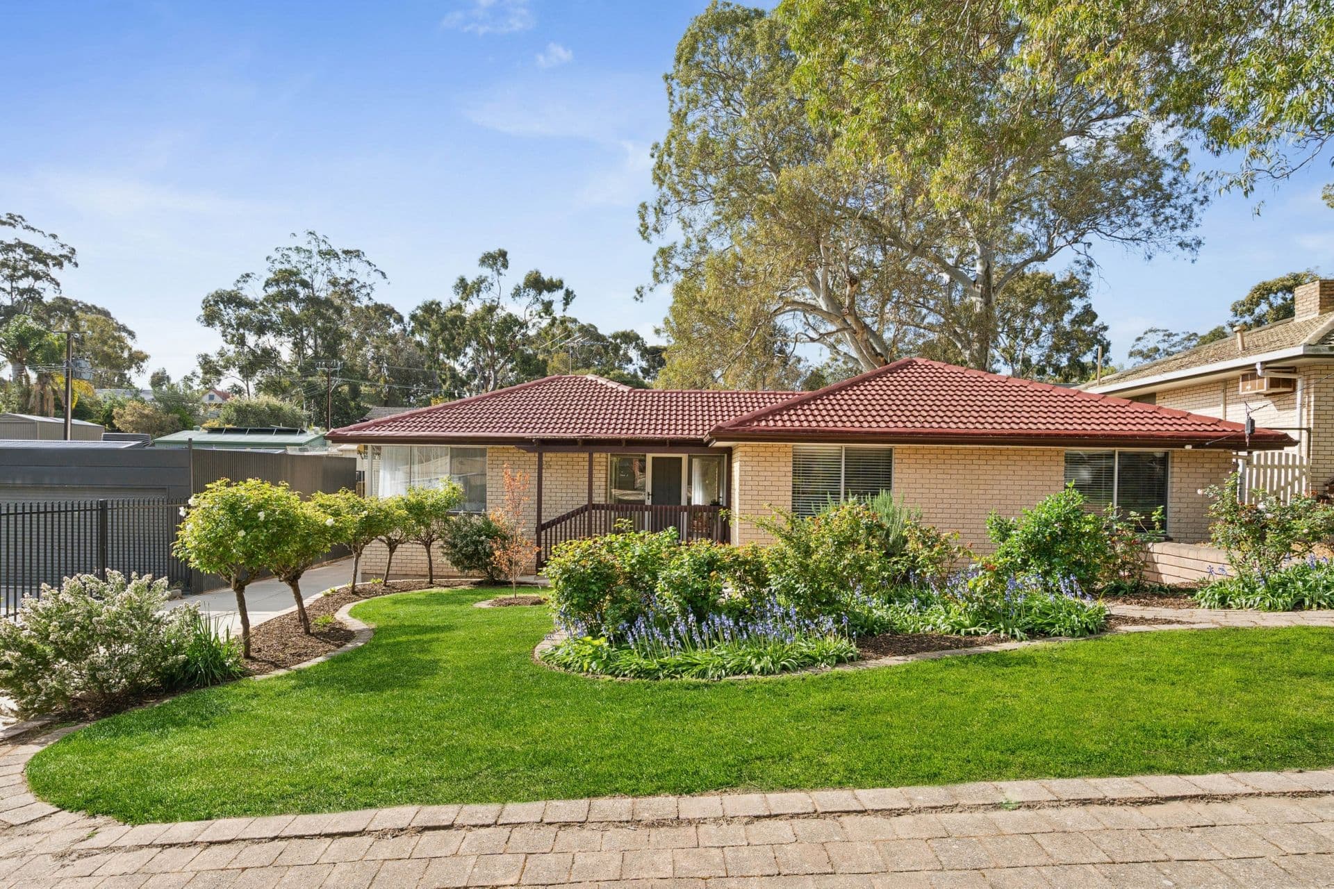 23 Minta Road, Happy Valley, SA, 5159, Happy Valley - Thumbnail 2