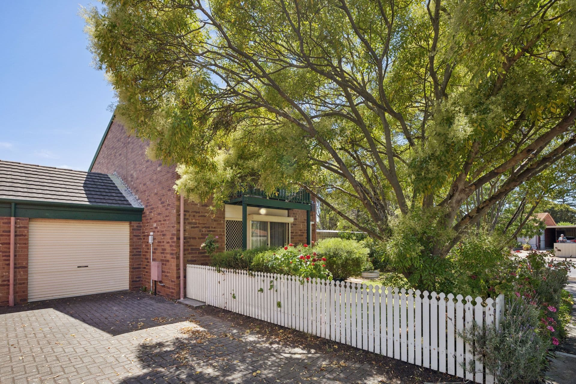 1/2A Maldon Avenue, Mitchell Park, SA, 5043, Mitchell Park - Thumbnail 2