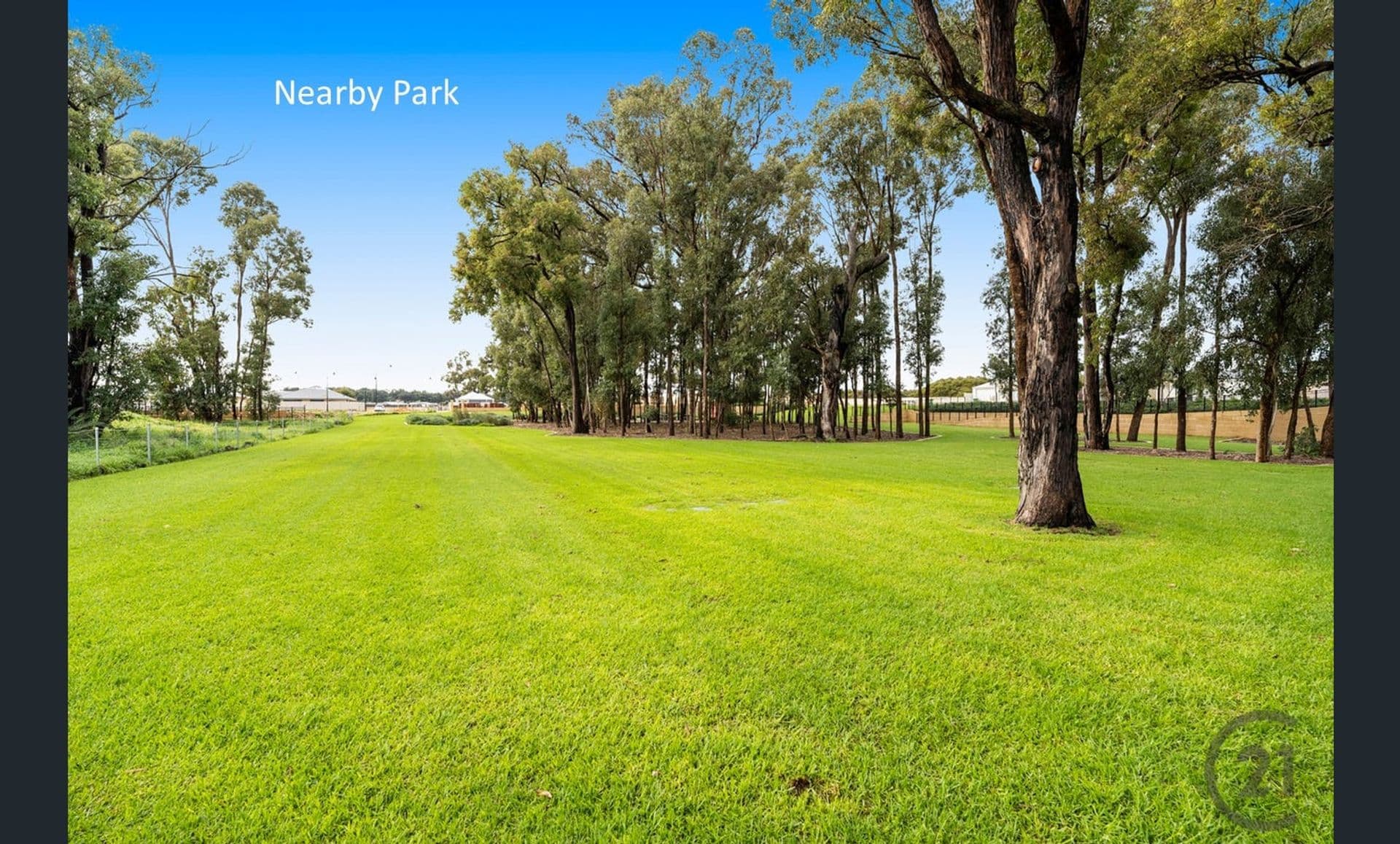 39 Tranquil Loop, Baldivis, WA, 6171, Baldivis - Thumbnail 8