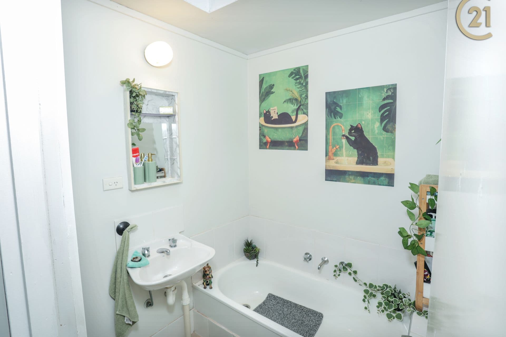 16 Garoogong Road, Springdale Heights, NSW, 2641, Springdale Heights - Thumbnail 3