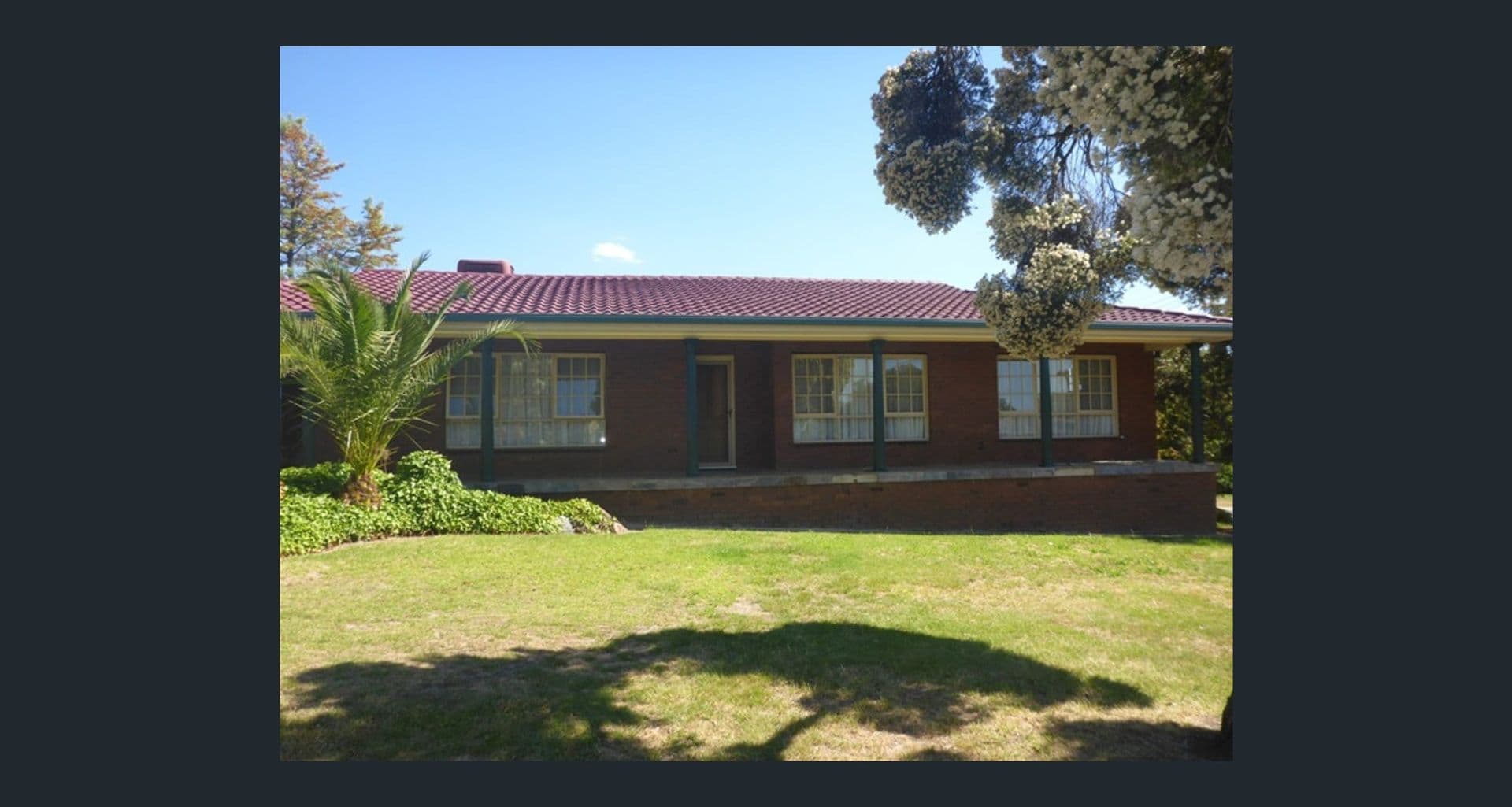 436 Dale Crescent, Lavington, NSW, 2641, Lavington - Thumbnail 5