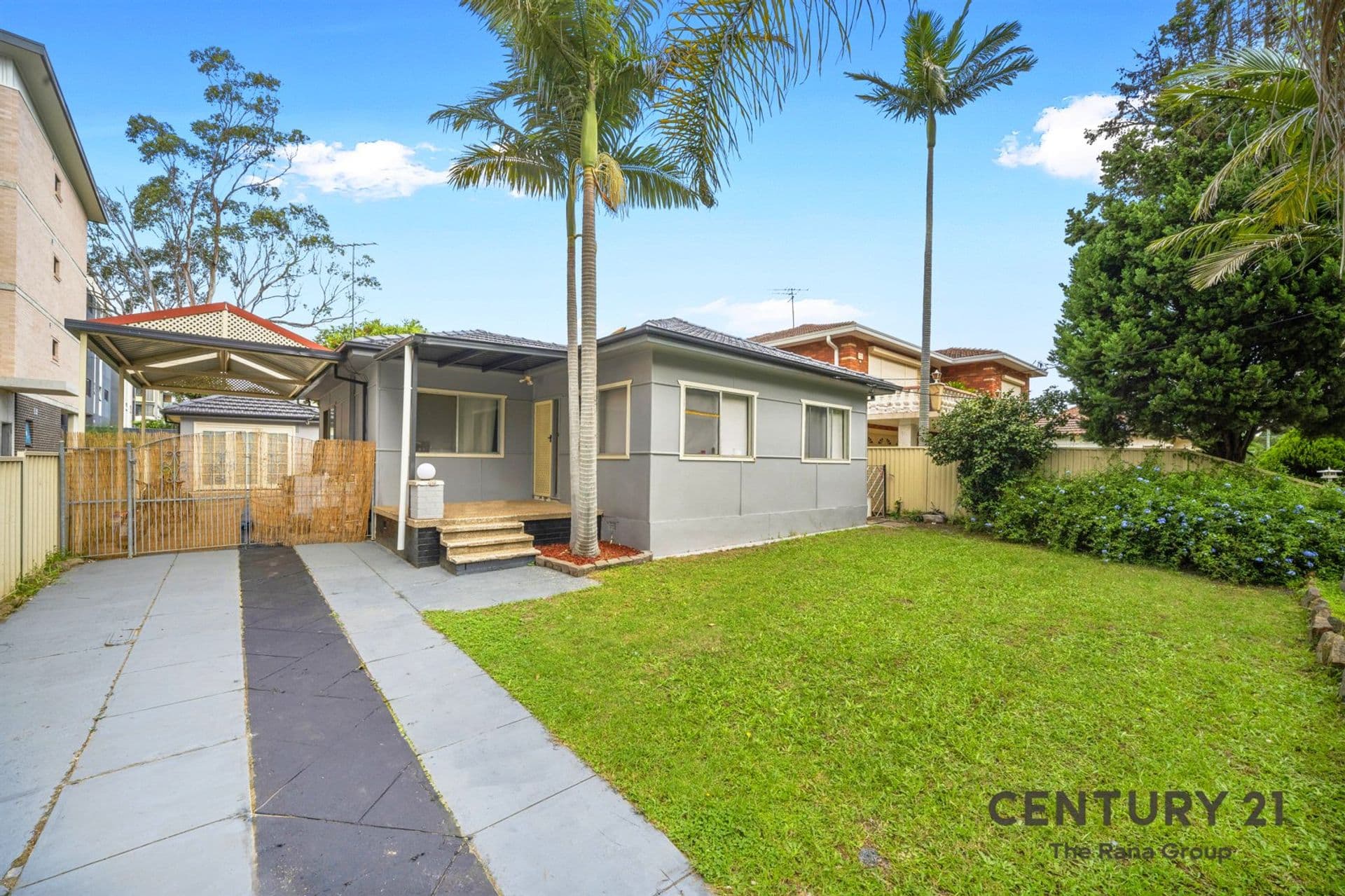 19 Junia Avenue, Toongabbie, NSW, 2146, Toongabbie - Thumbnail 3