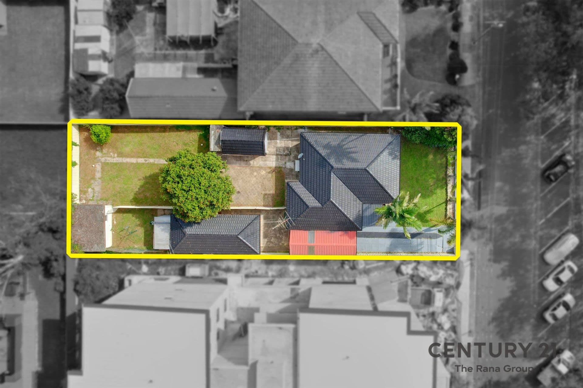 19 Junia Avenue, Toongabbie, NSW, 2146, Toongabbie - Thumbnail 2