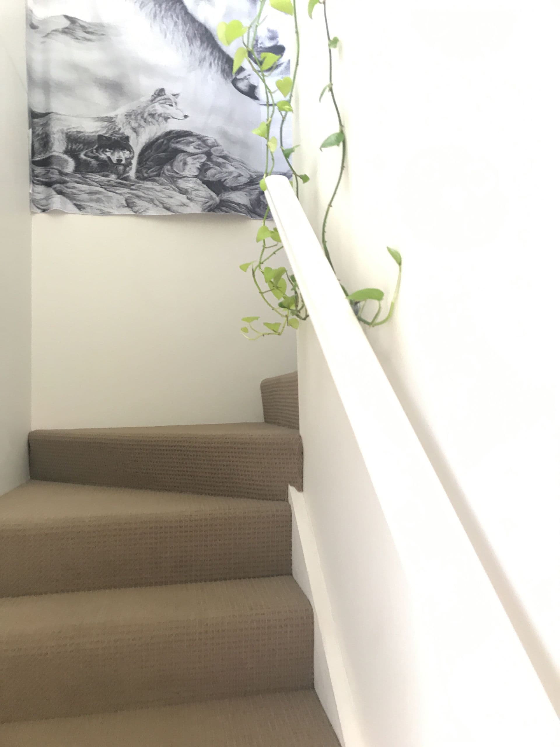 21-59 Queen Elizabeth Drive, Dysart, QLD, 4745, Dysart - Thumbnail 8