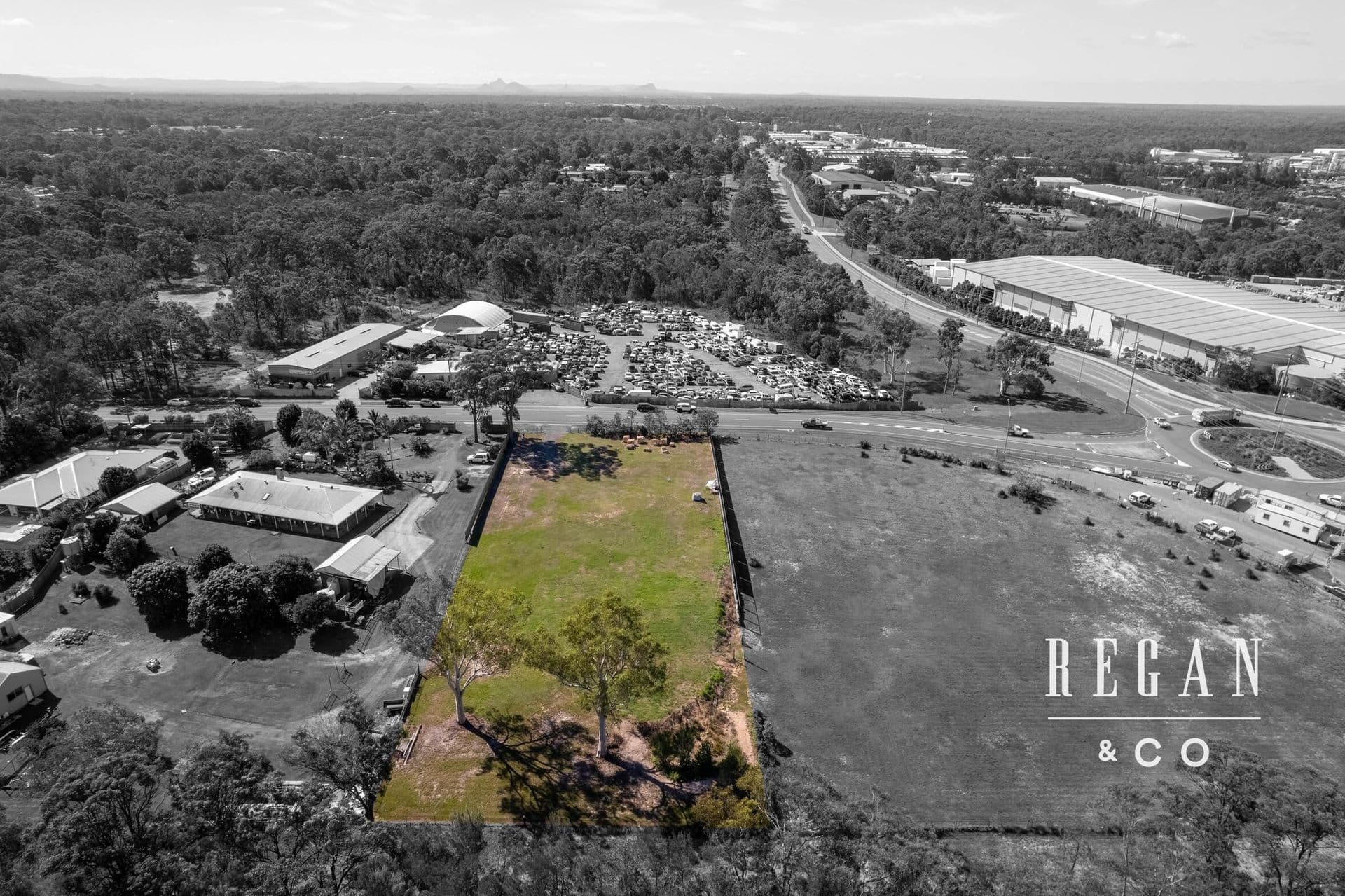 19 McPhail Road, Narangba, QLD, 4504, Narangba - Thumbnail 7