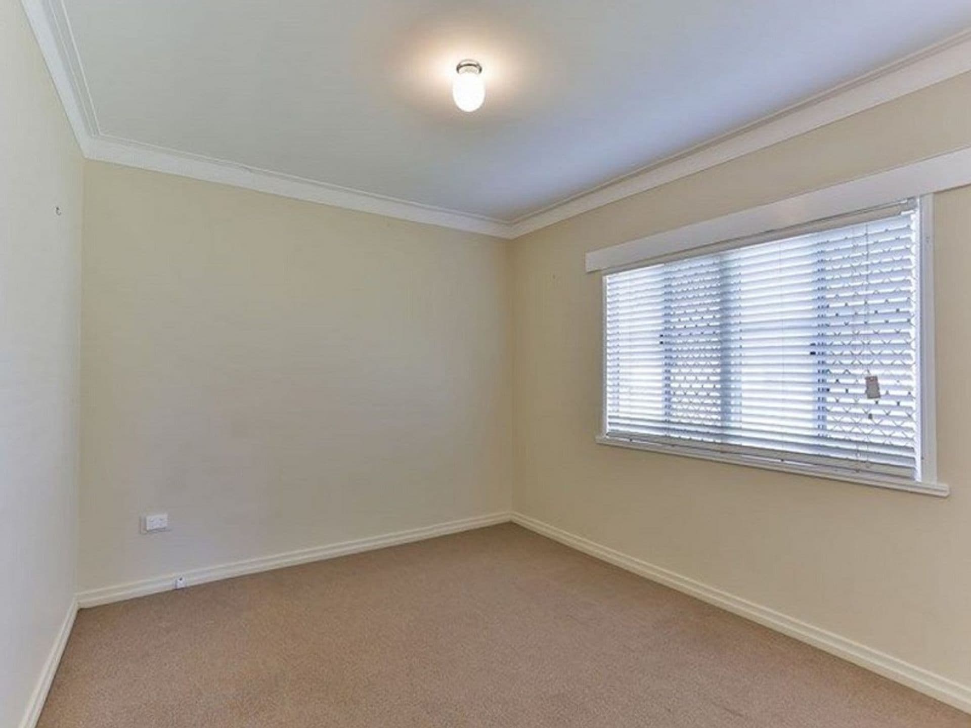 2 Aylmer Street, Oakey, QLD, 4401, Oakey - Thumbnail 7