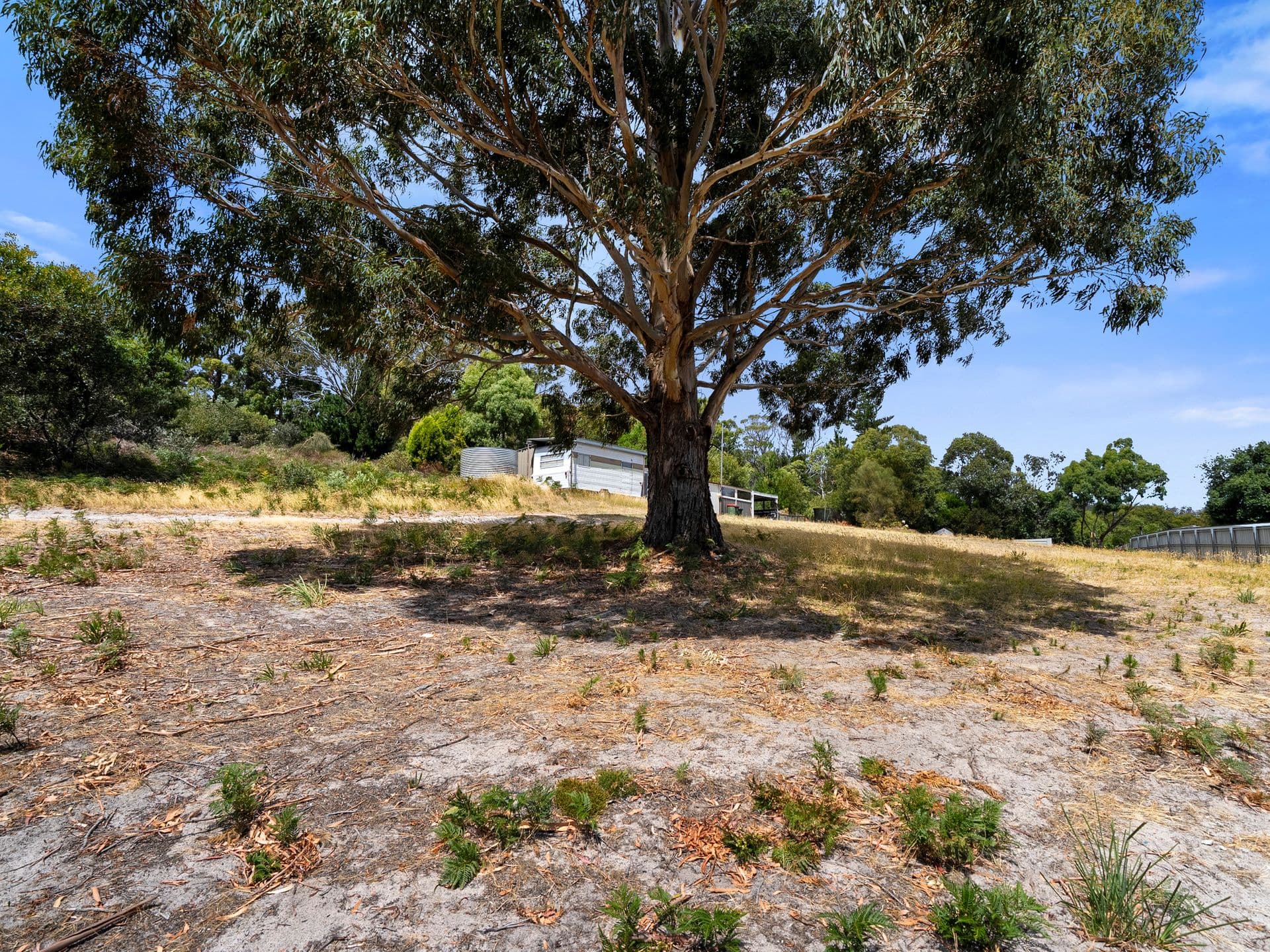 8 Turvey Avenue, Nubeena, TAS, 7184, Nubeena - Thumbnail 6