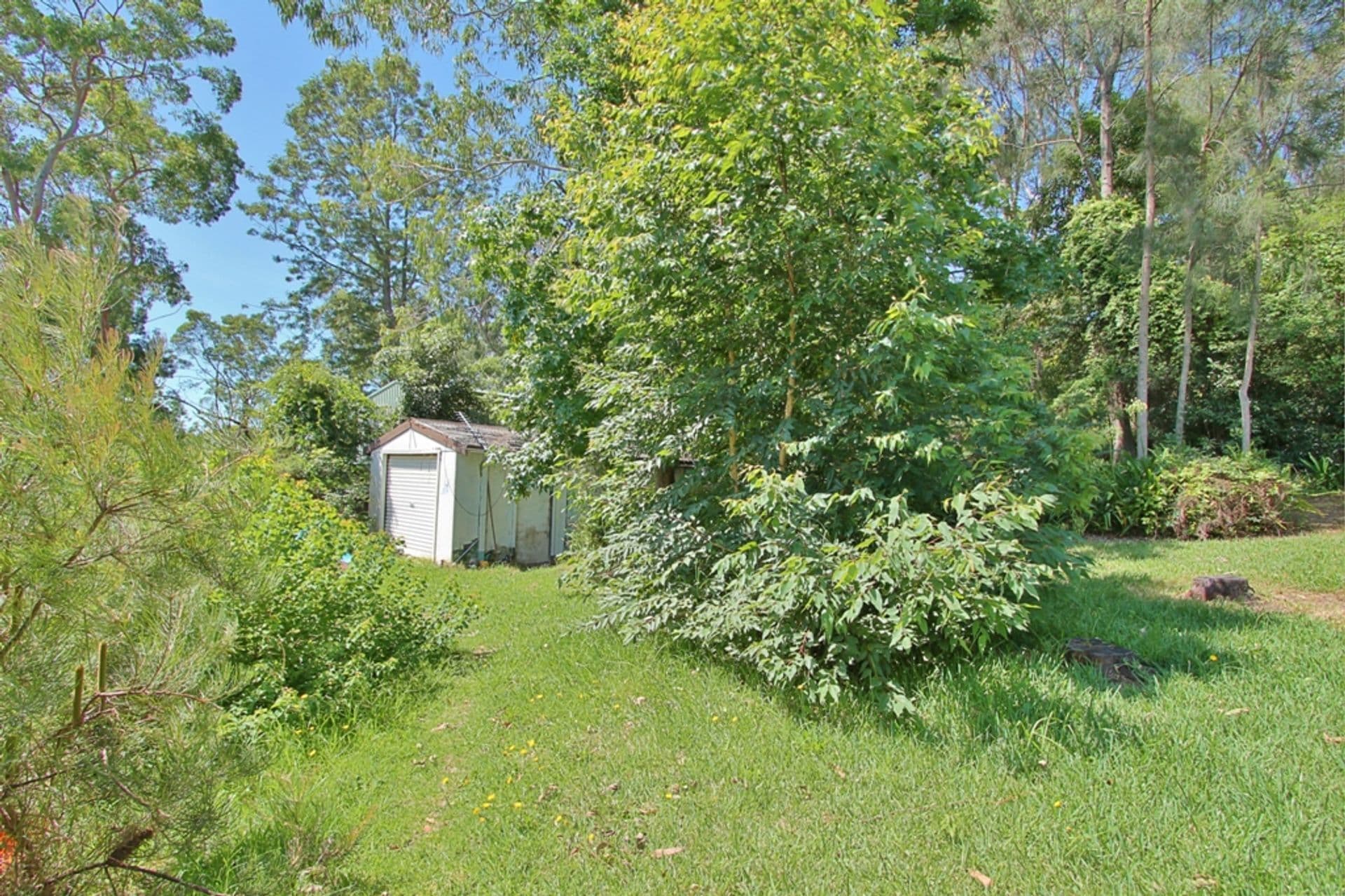 114 Talbot Road, Hazelbrook, NSW, 2779, Hazelbrook - Thumbnail 8