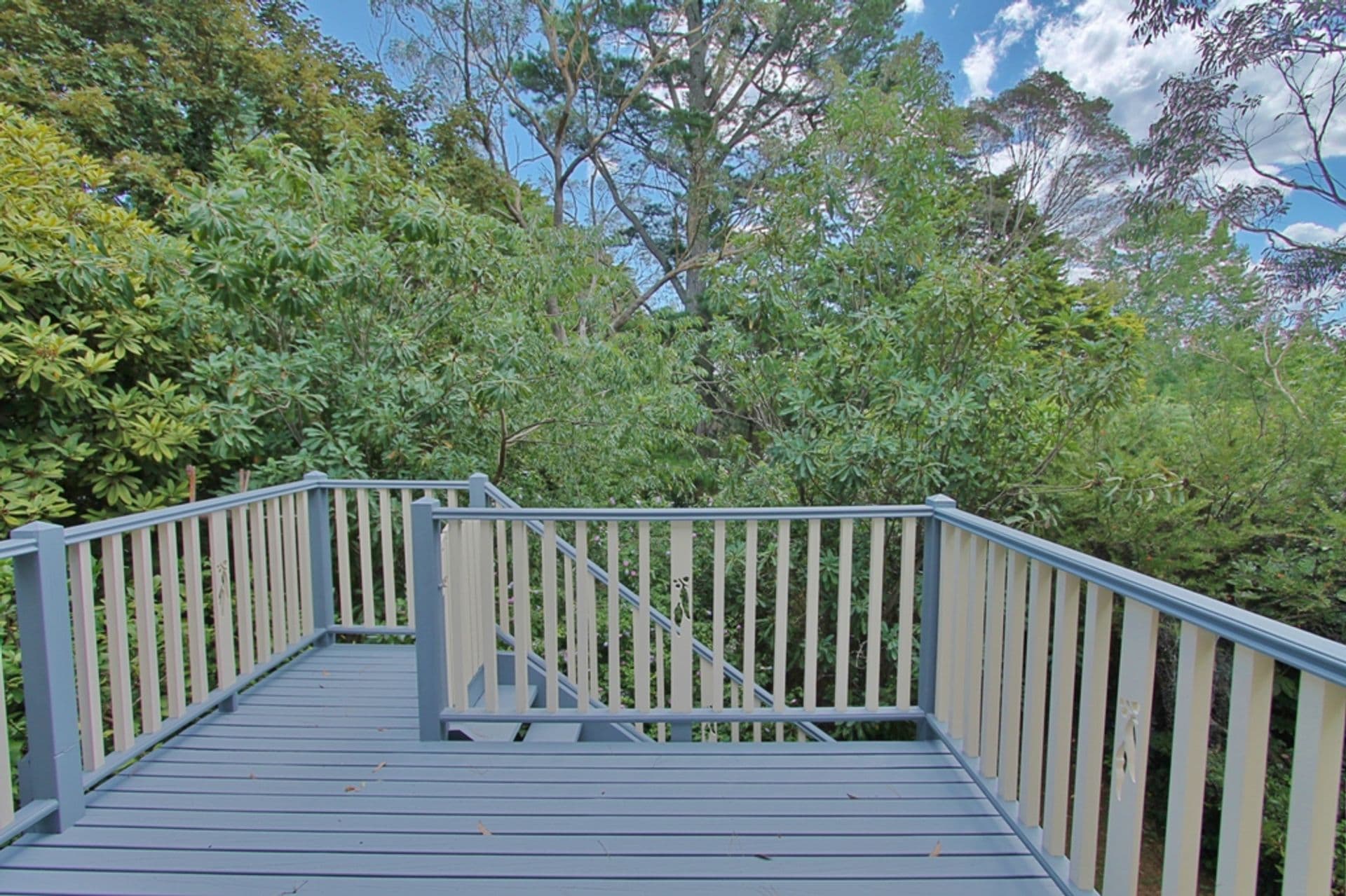 68 Blaxland Road, Wentworth Falls, NSW, 2782, Wentworth Falls - Thumbnail 6