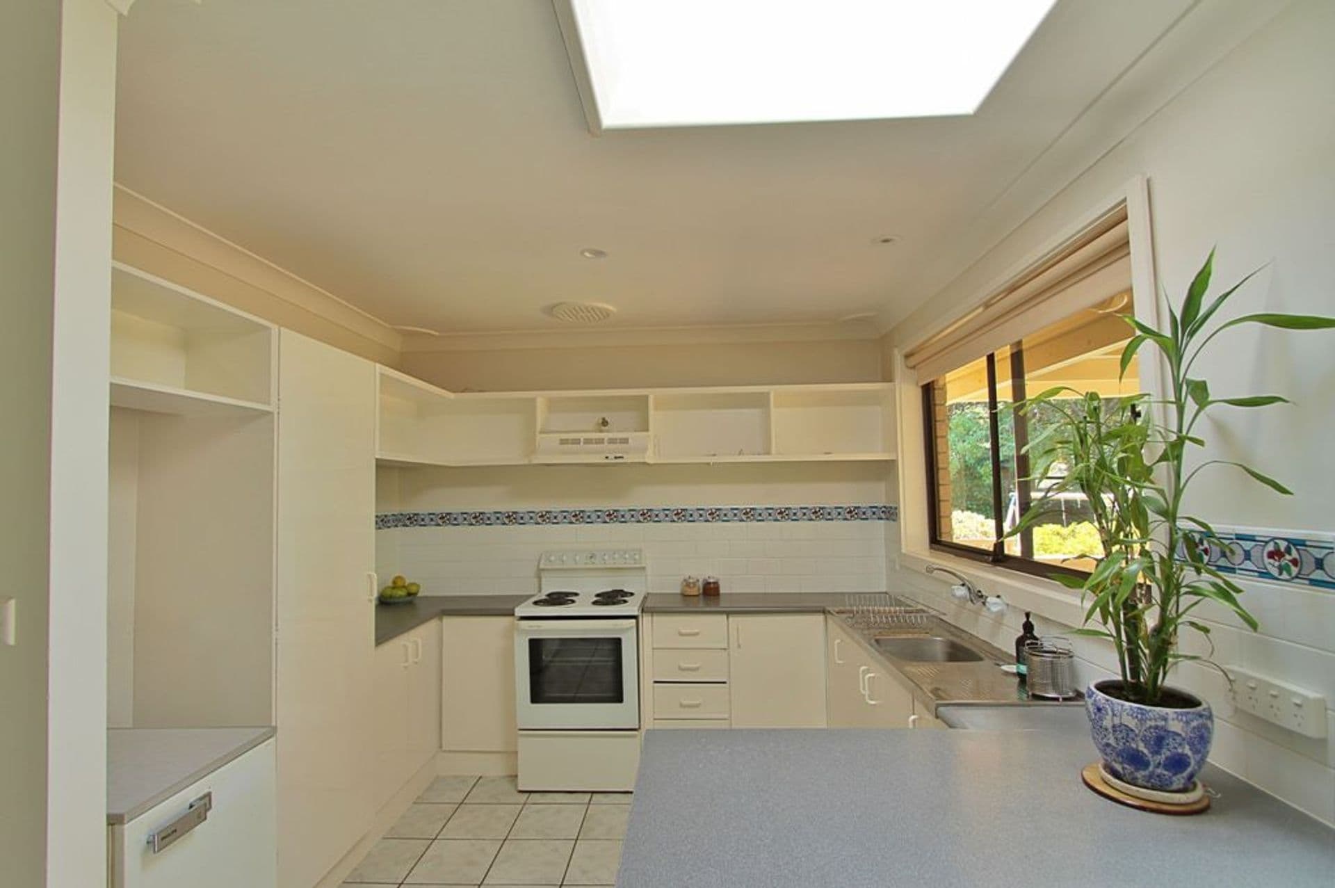 5 David Street, Wentworth Falls, NSW, 2782, Wentworth Falls - Thumbnail 2
