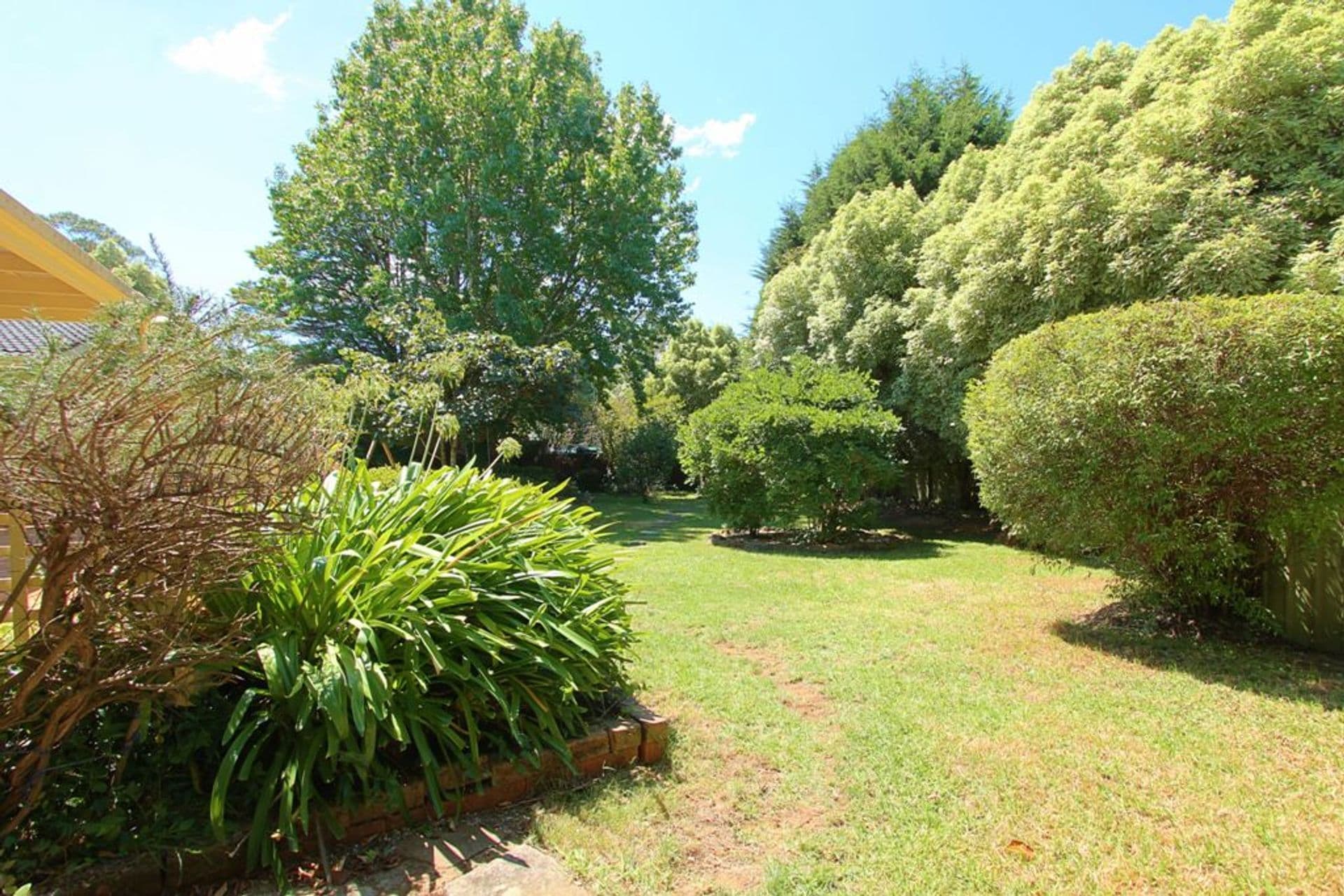 5 David Street, Wentworth Falls, NSW, 2782, Wentworth Falls - Thumbnail 4