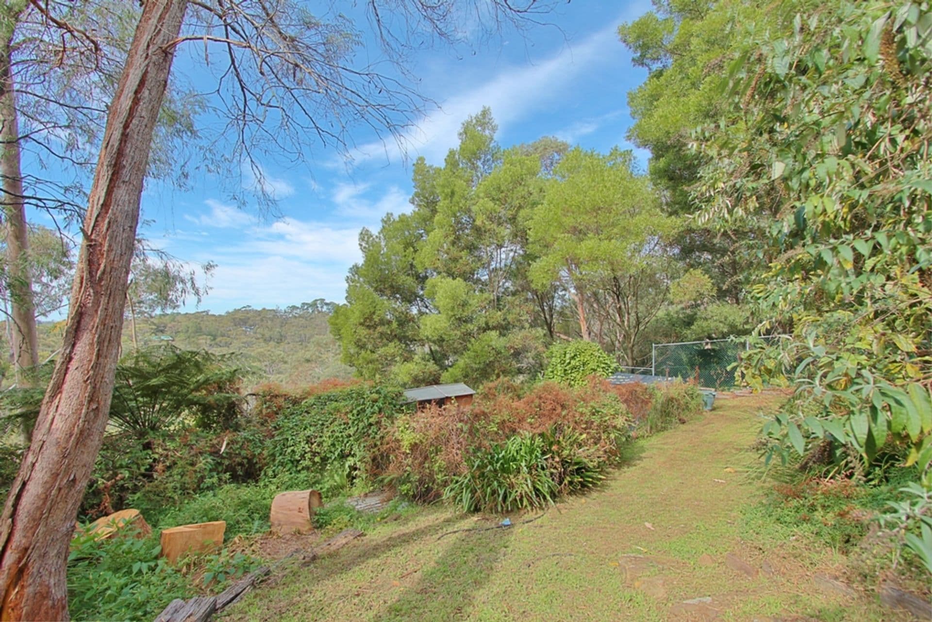 8 John Street, Hazelbrook, NSW, 2779, Hazelbrook - Thumbnail 7
