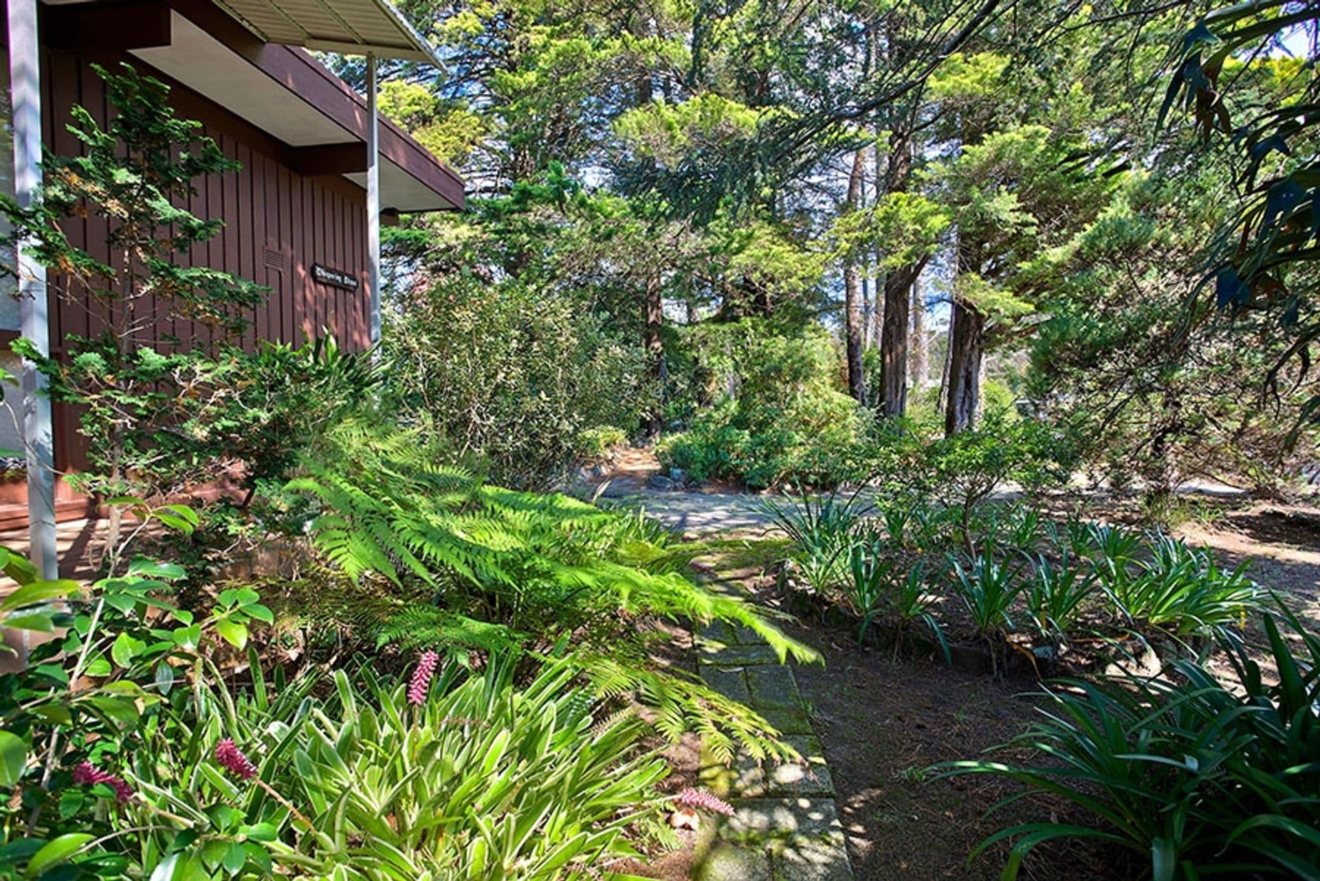 1 Ross Avenue, Hazelbrook, NSW, 2779, Hazelbrook - Thumbnail 2