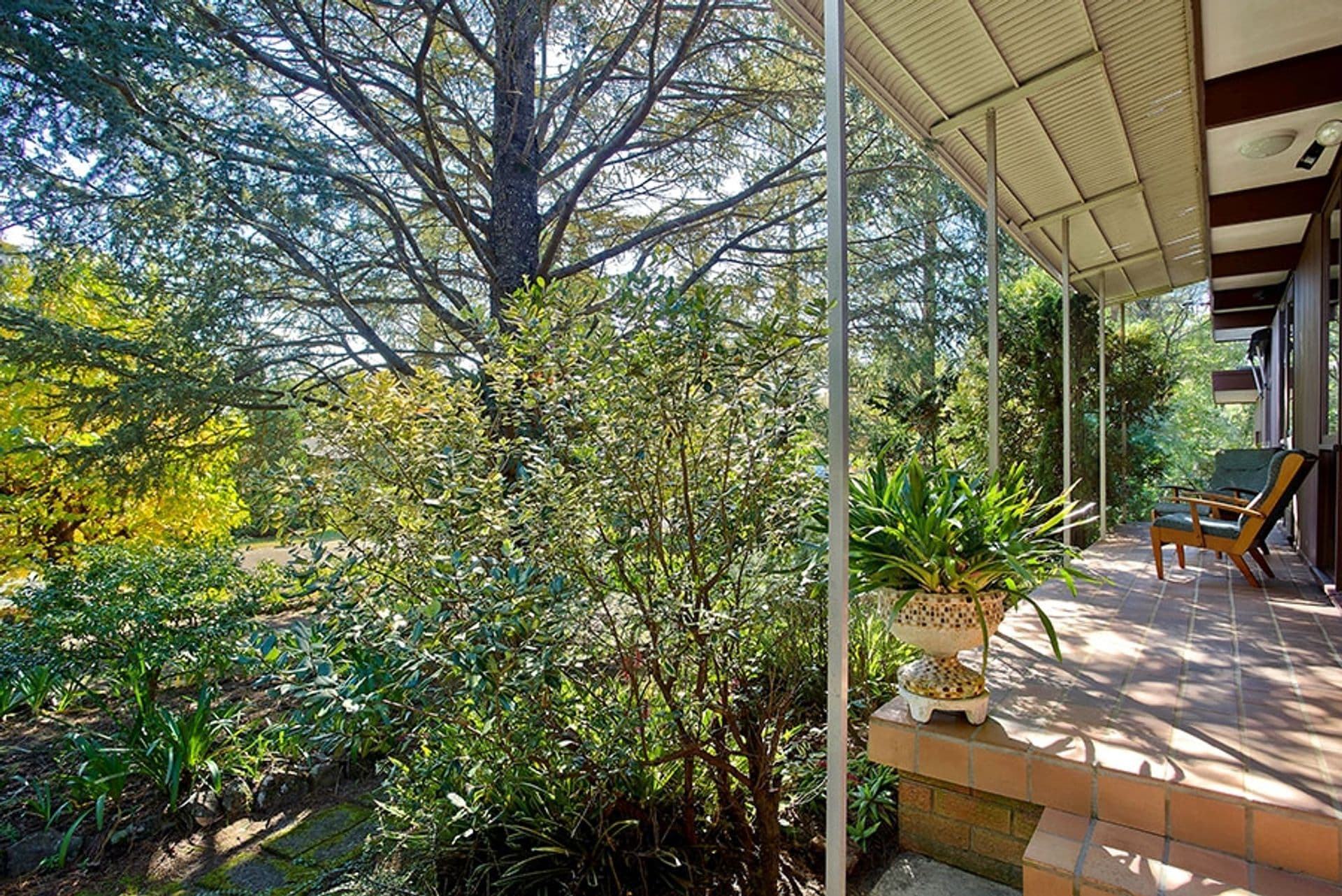 1 Ross Avenue, Hazelbrook, NSW, 2779, Hazelbrook - Thumbnail 8