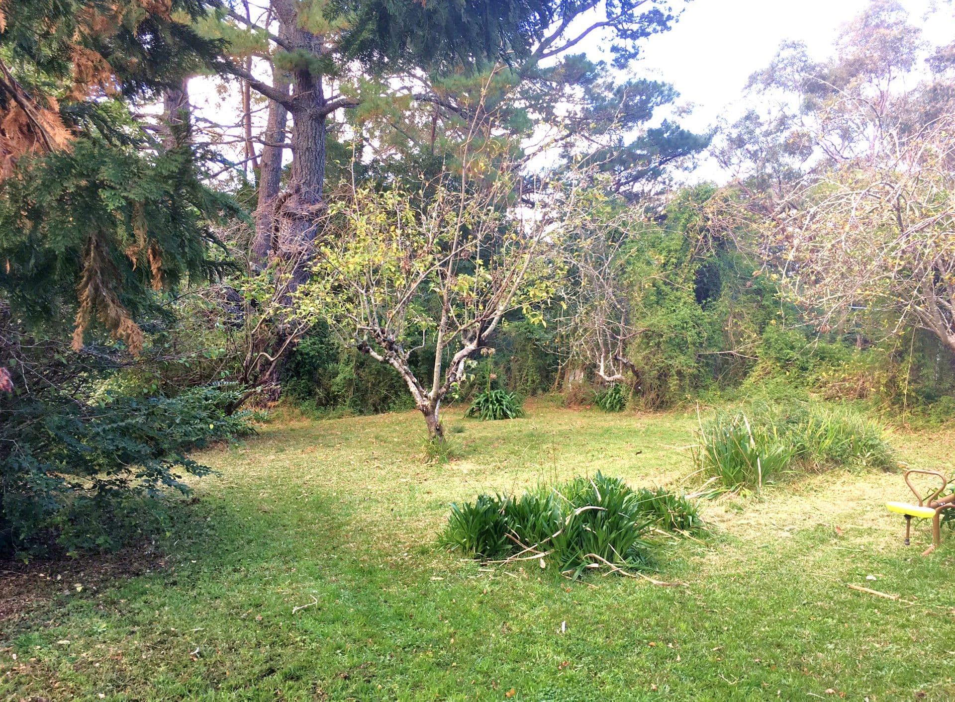 22 Hazelbrook Parade, Hazelbrook, NSW, 2779, Hazelbrook - Thumbnail 6