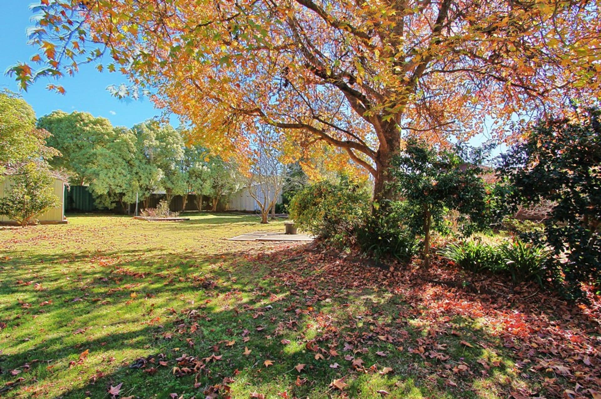 10 Pine Street, Hazelbrook, NSW, 2779, Hazelbrook - Thumbnail 2