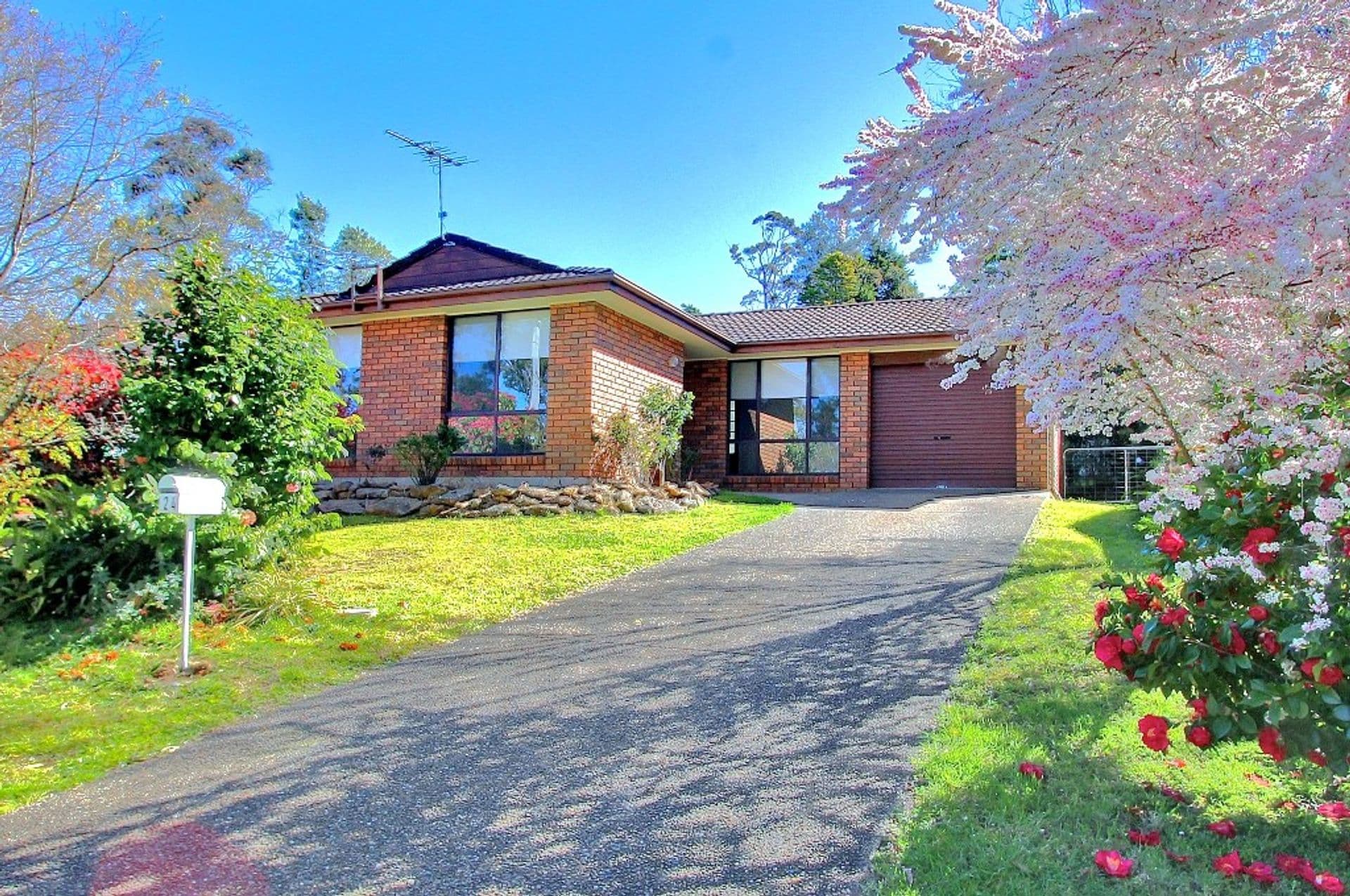 24 Sayers Street, Lawson, NSW, 2783, Lawson - Image 1