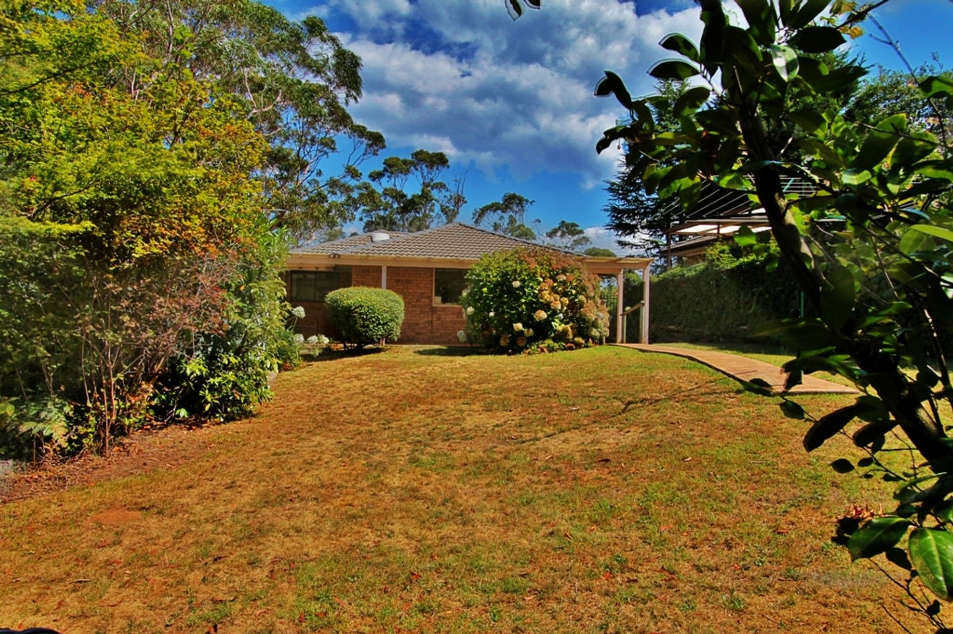 25 Wellington Road, Katoomba, NSW, 2780, Katoomba - Thumbnail 8