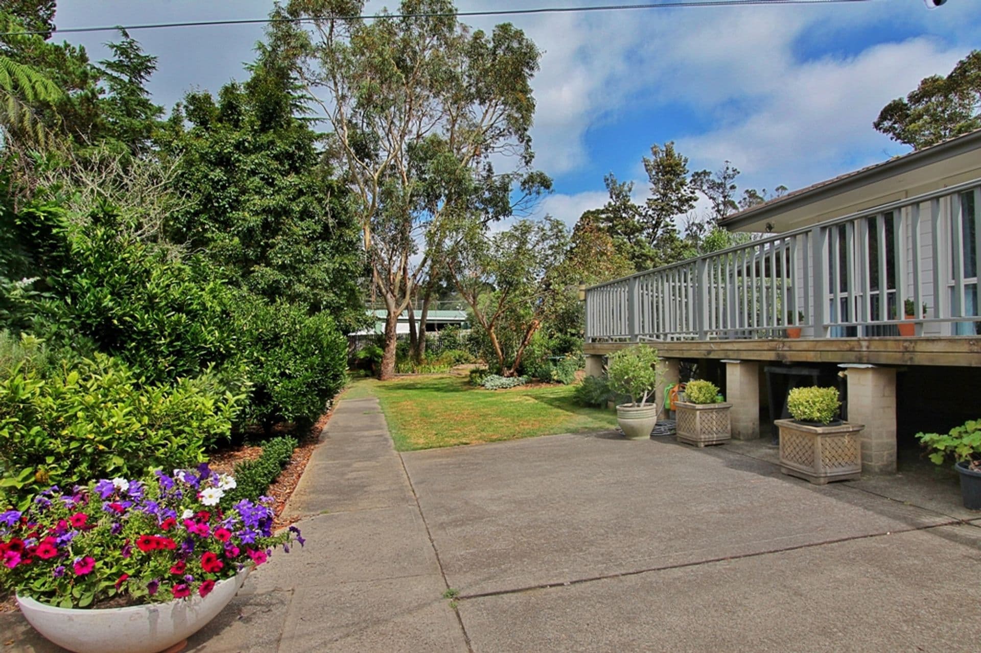 1 Boronia Road, Wentworth Falls, NSW, 2782, Wentworth Falls - Thumbnail 4