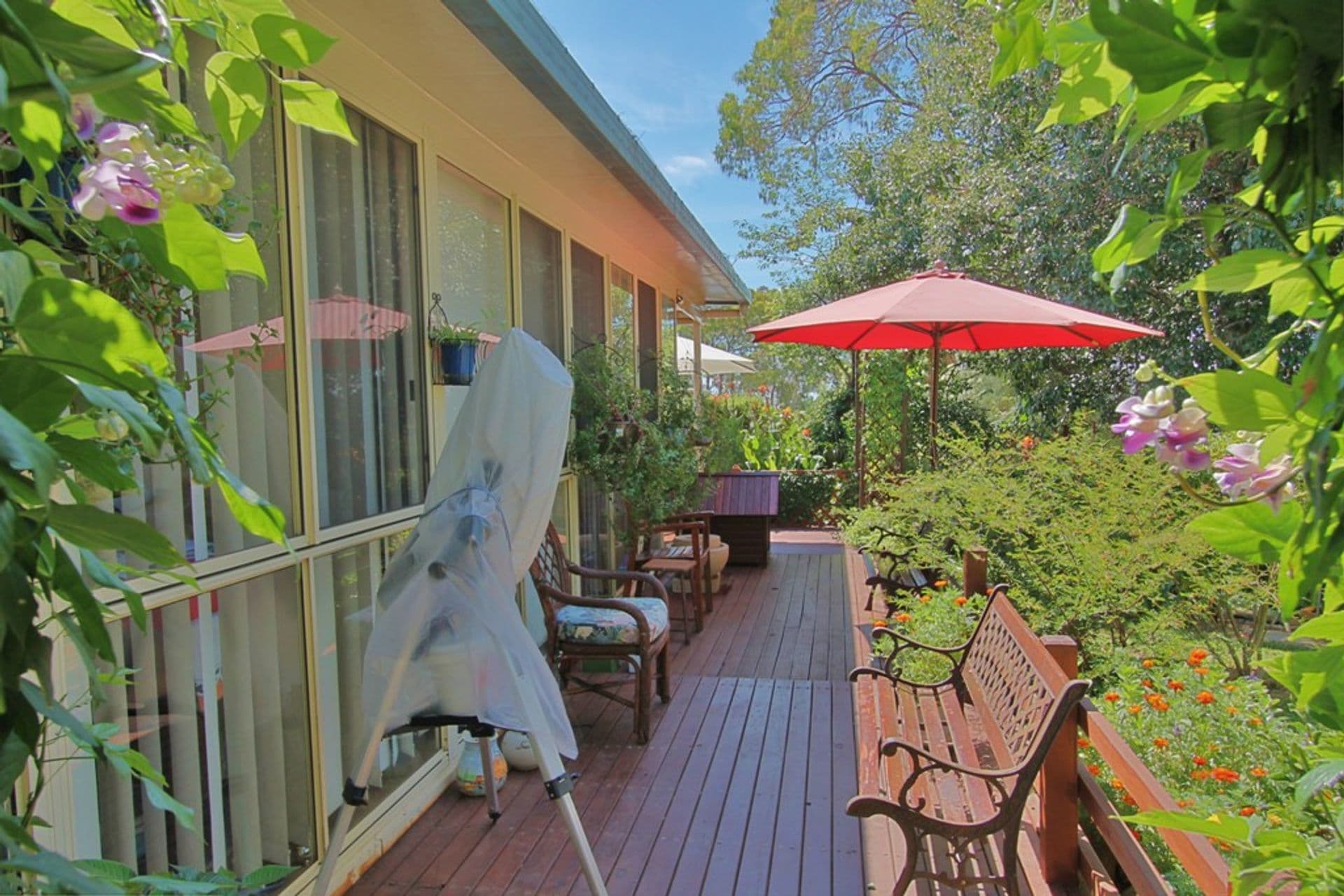 6 Dunoon Drive, Hazelbrook, NSW, 2779, Hazelbrook - Thumbnail 2