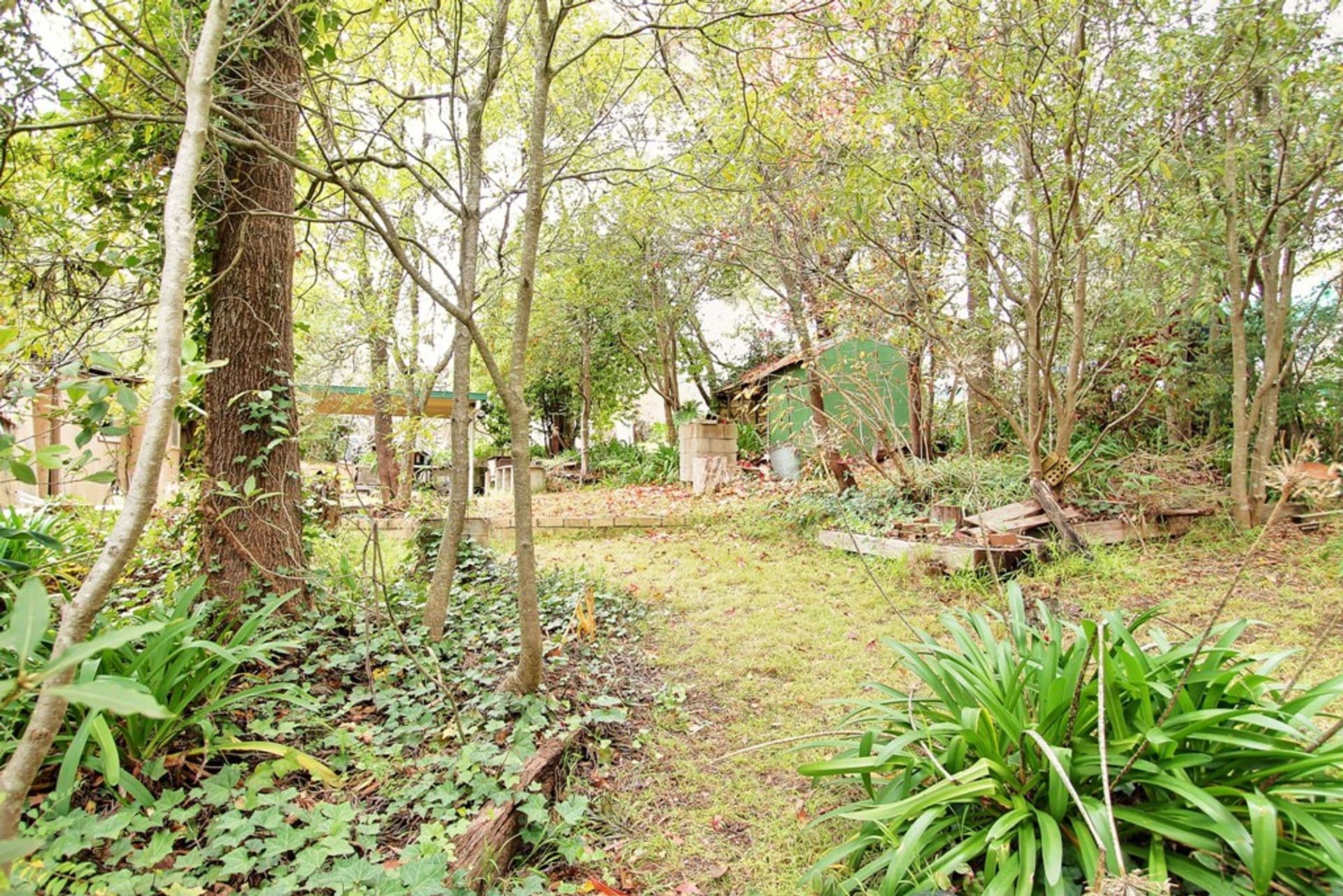 30 Birdwood Parade, Hazelbrook, NSW, 2779, Hazelbrook - Thumbnail 6