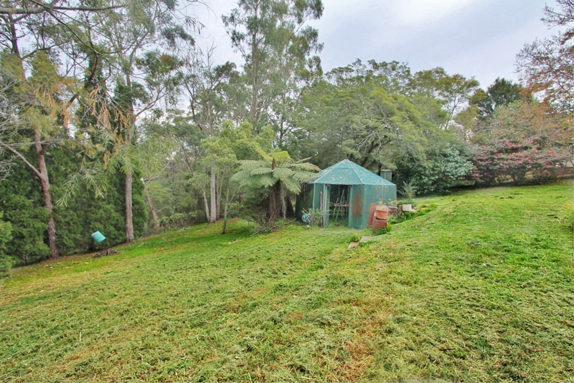 59 Honour Avenue, Lawson, NSW, 2783, Lawson - Thumbnail 6