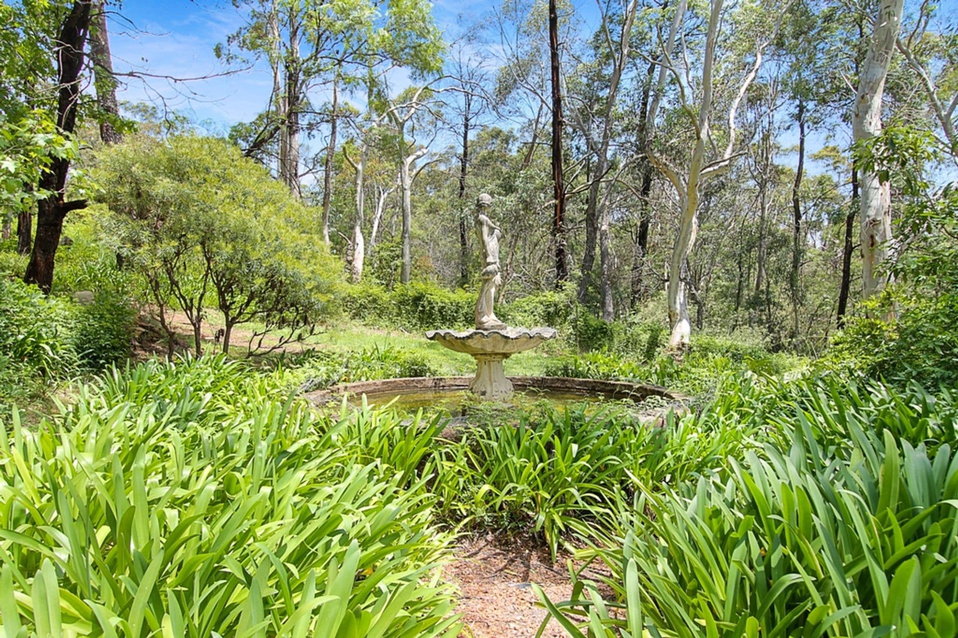 28 Wallis Street, Lawson, NSW, 2783, Lawson - Thumbnail 6