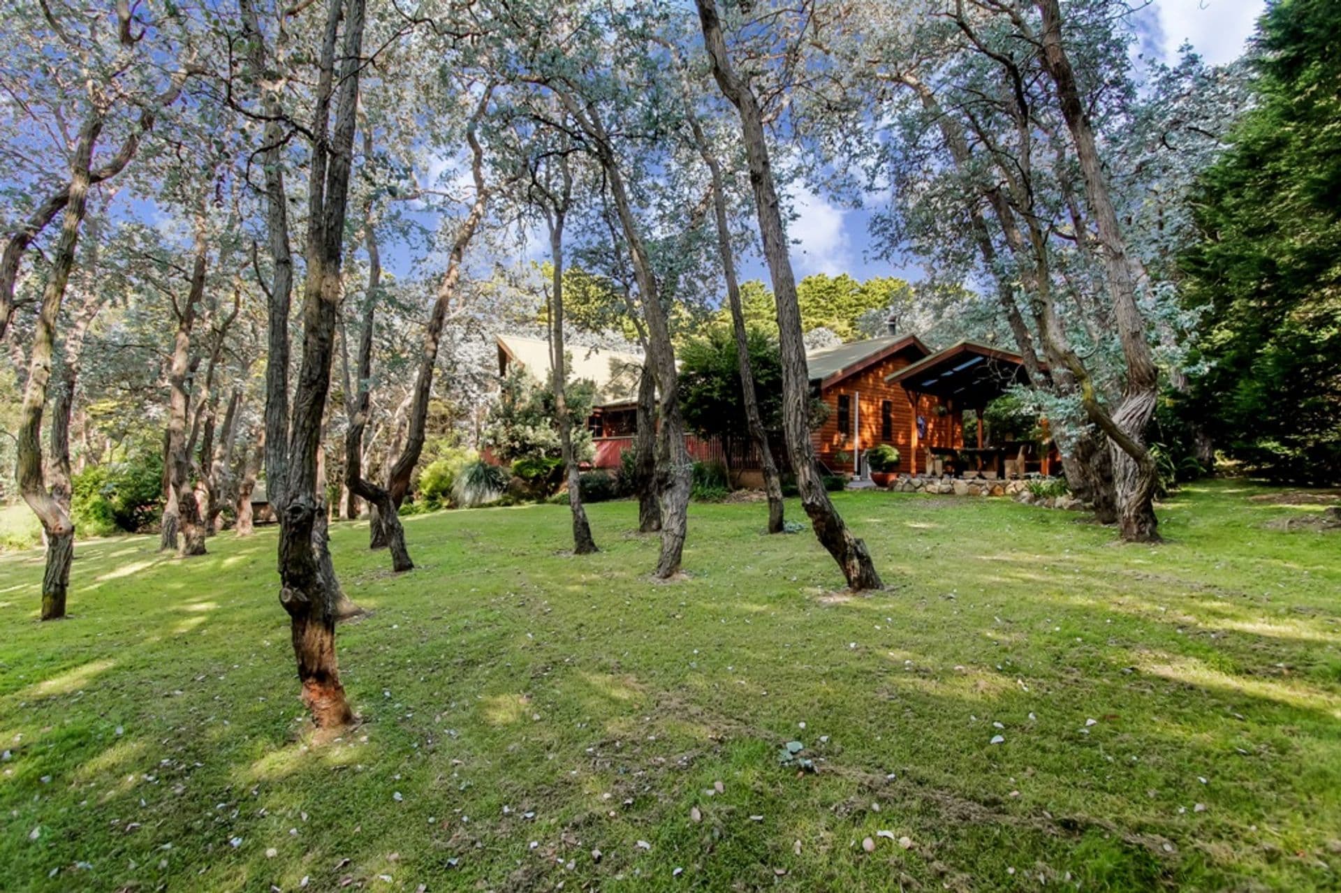 60A Winbourne Road, Hazelbrook, NSW, 2779, Hazelbrook - Thumbnail 6