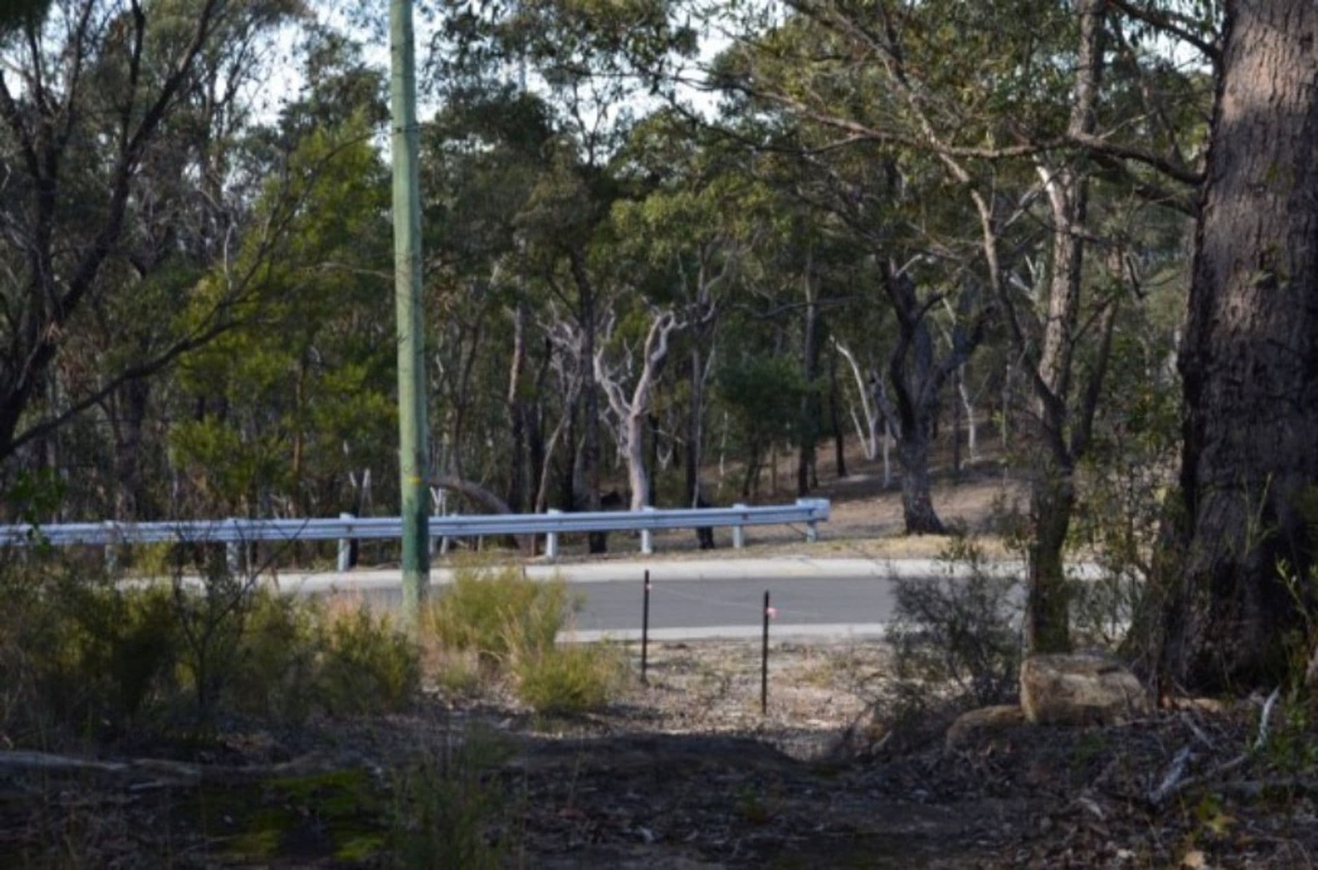 44 Sir Henry's Parade, Faulconbridge, NSW, 2776, Faulconbridge - Thumbnail 3