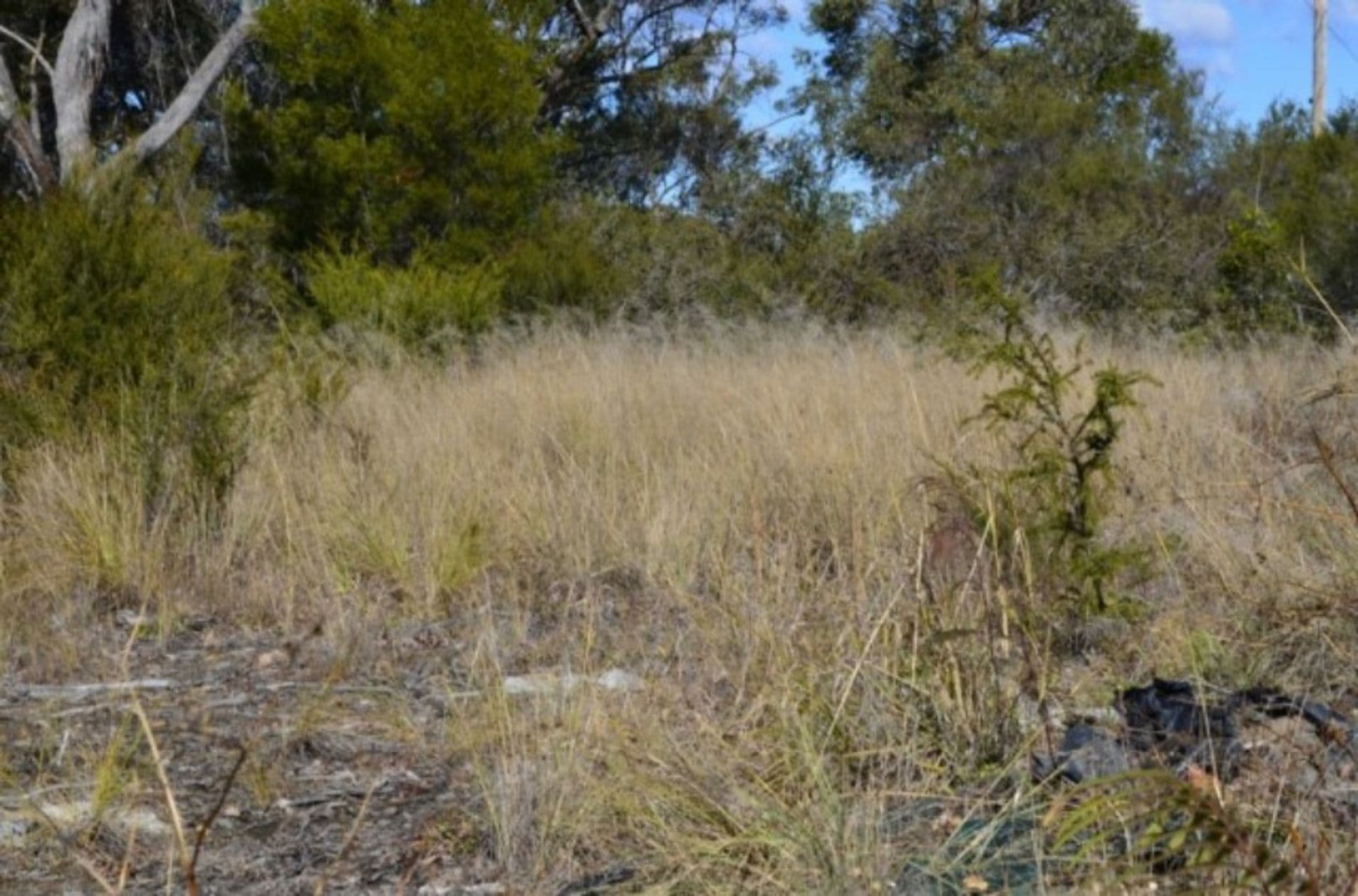 44 Sir Henry's Parade, Faulconbridge, NSW, 2776, Faulconbridge - Thumbnail 4
