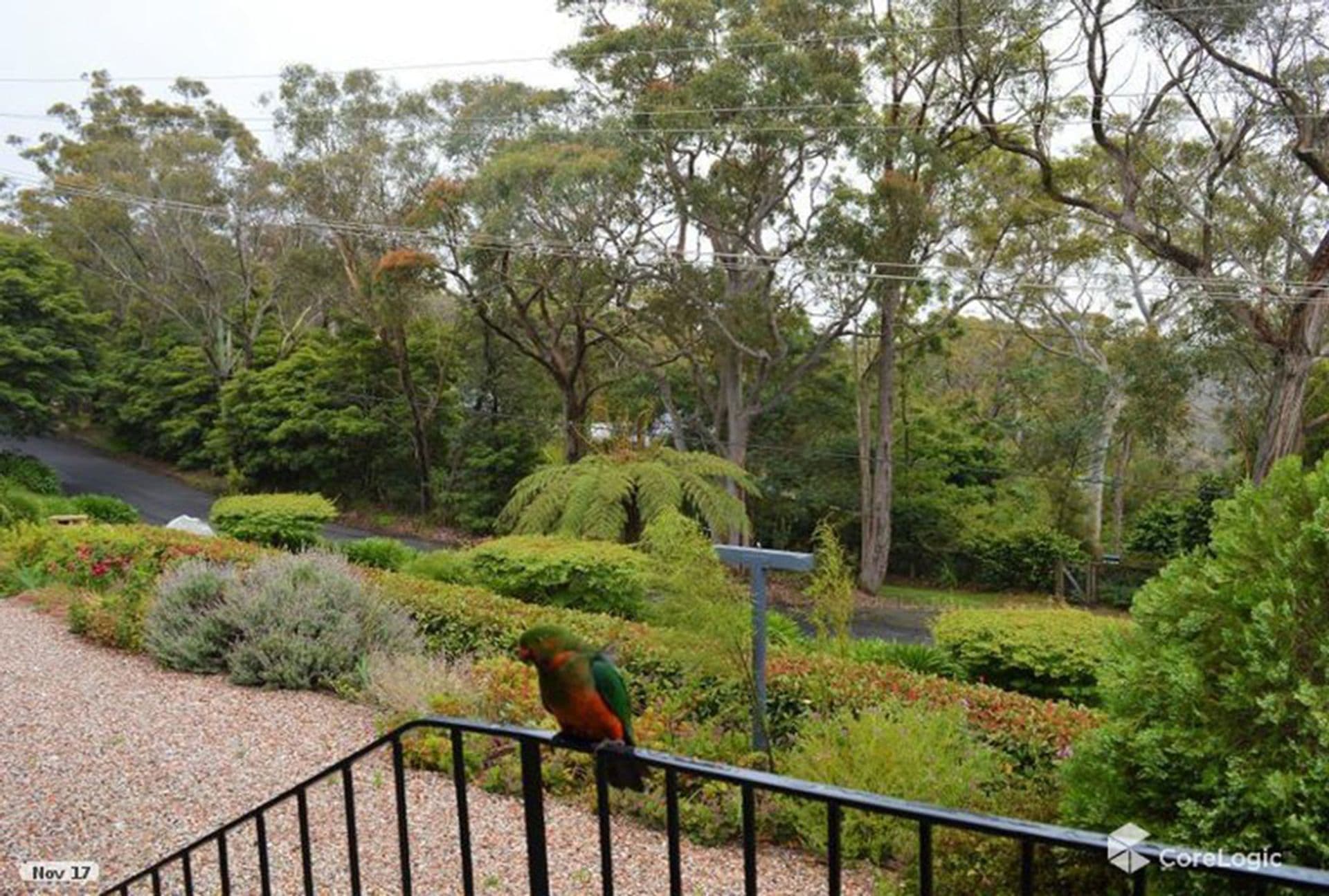 9 George Street, Hazelbrook, NSW, 2779, Hazelbrook - Thumbnail 6