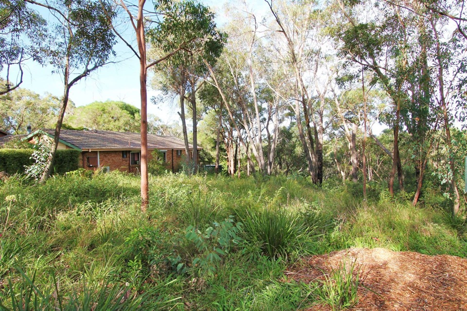 Shop 23, The Village, 192 Great Western Highway, Hazelbrook, NSW, 2779, Hazelbrook - Thumbnail 2