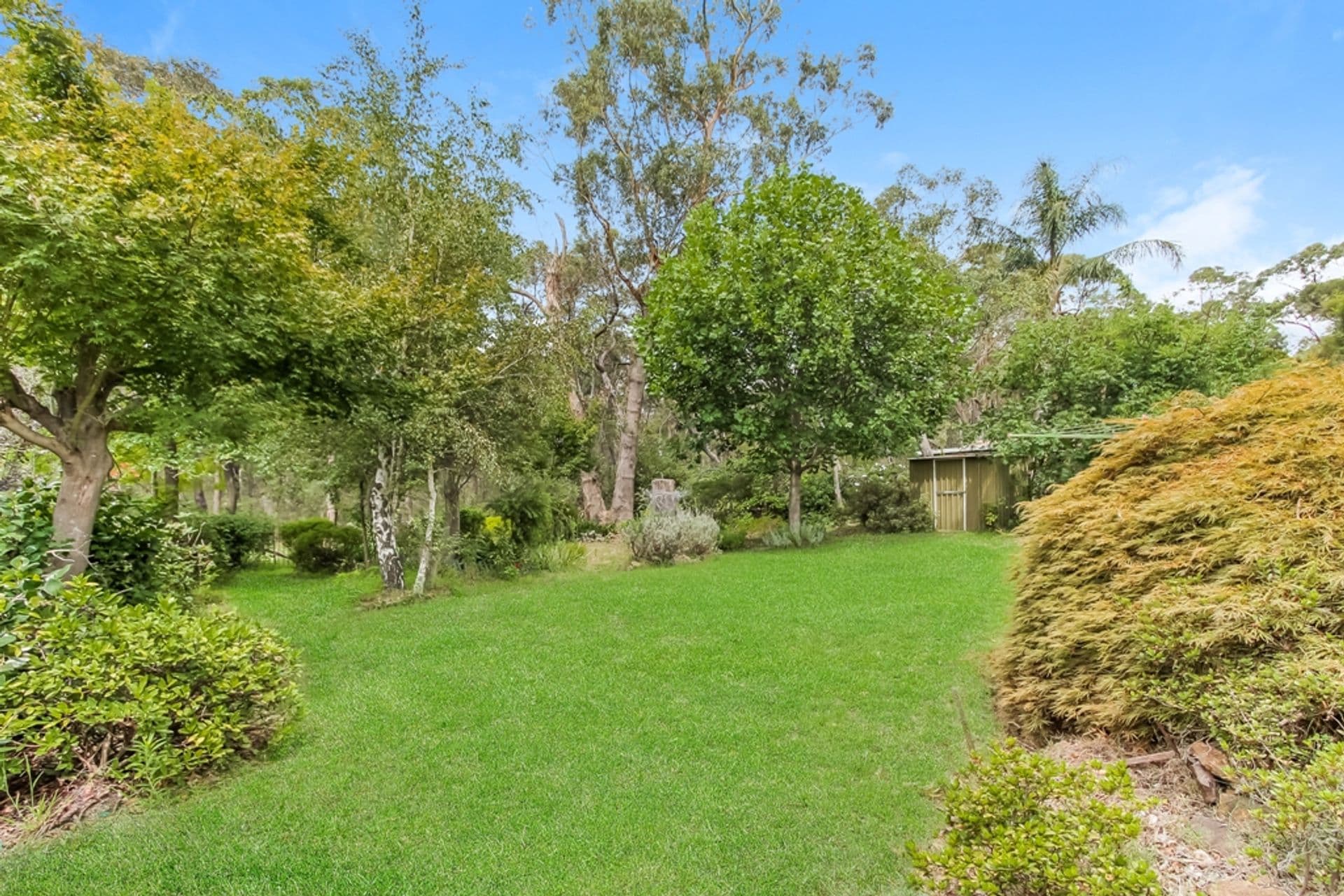 31 Fern Avenue, Hazelbrook, NSW, 2779, Hazelbrook - Thumbnail 3