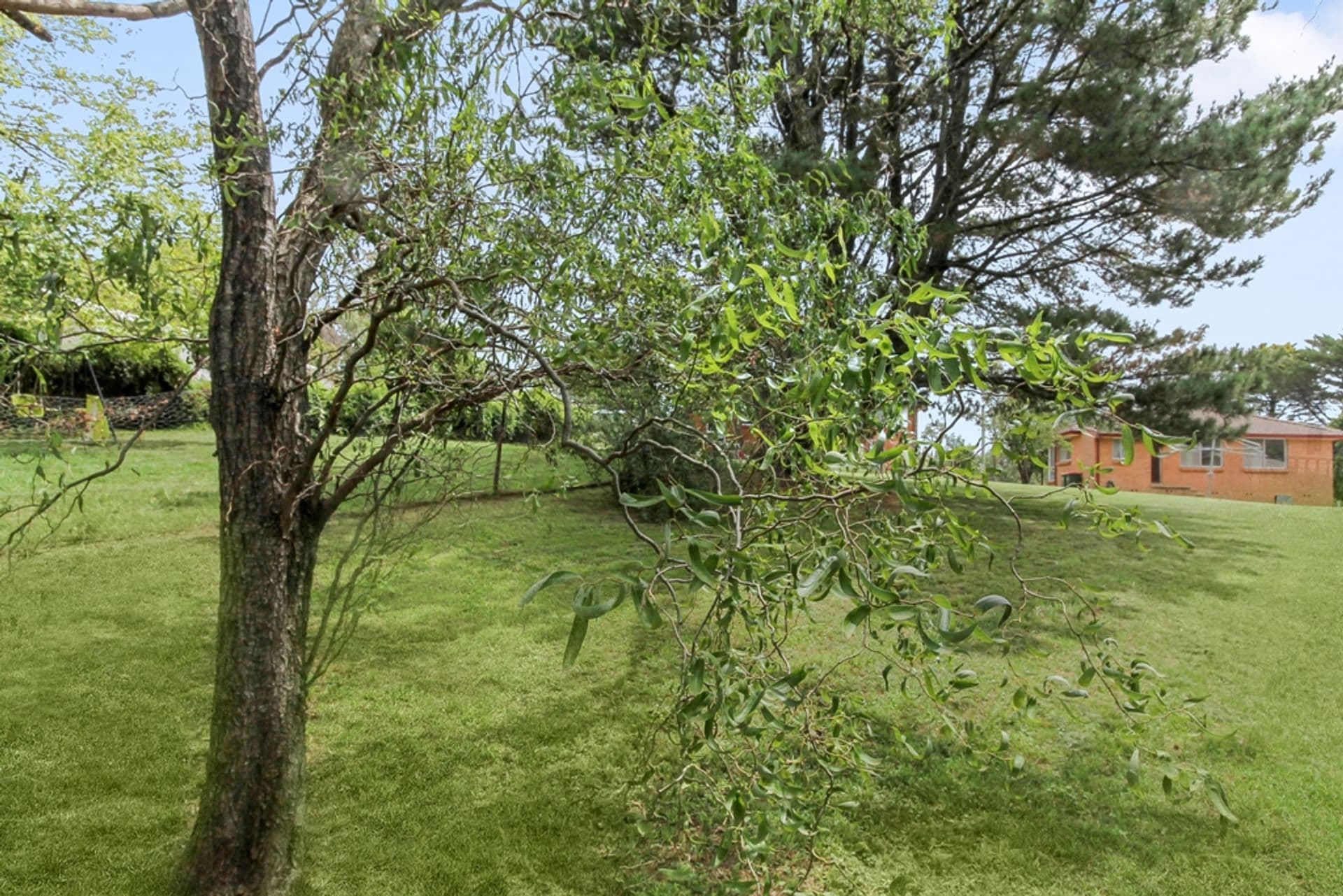 39 Clearview Parade, Hazelbrook, NSW, 2779, Hazelbrook - Thumbnail 4