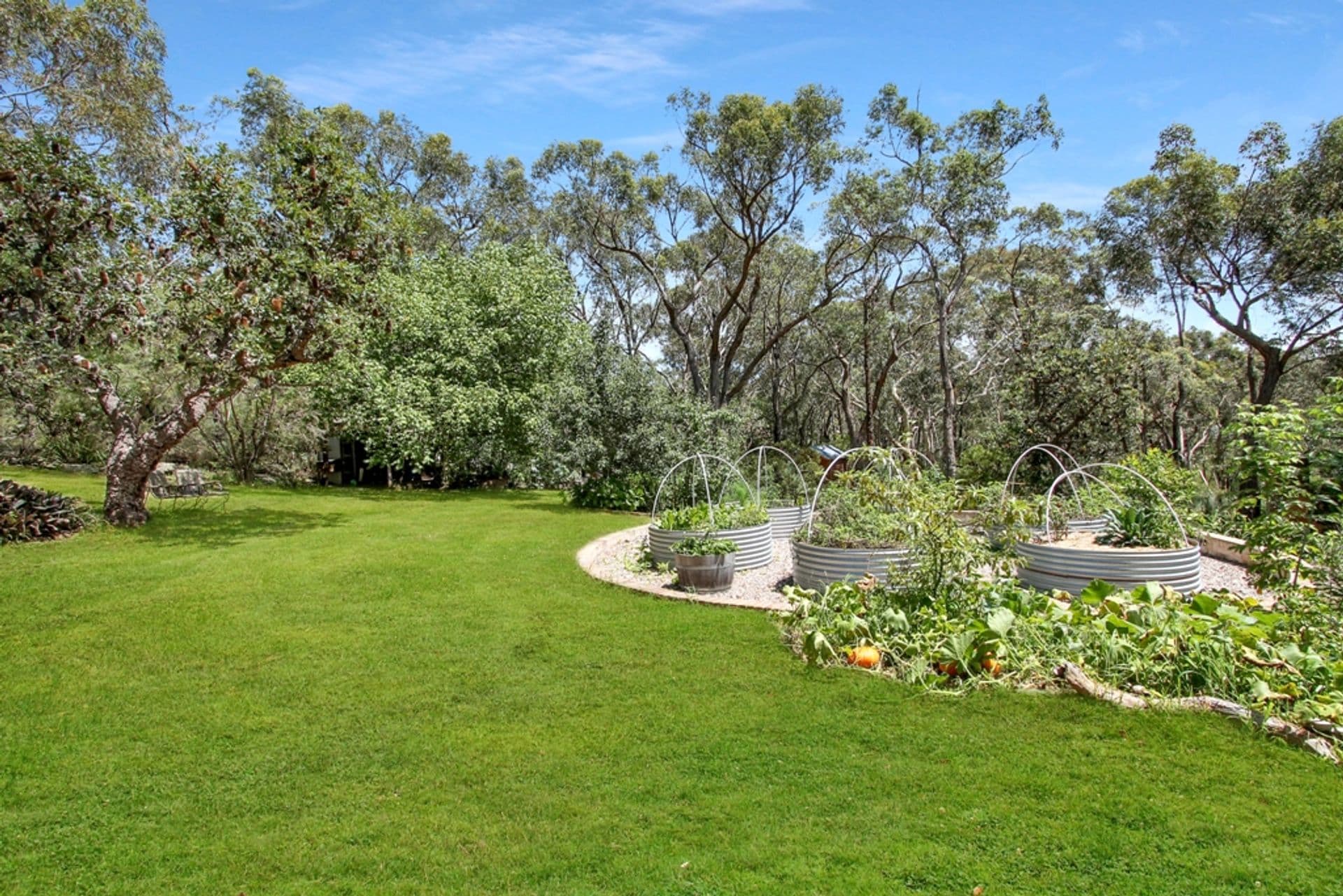 72 Clearview Parade, Hazelbrook, NSW, 2779, Hazelbrook - Thumbnail 5