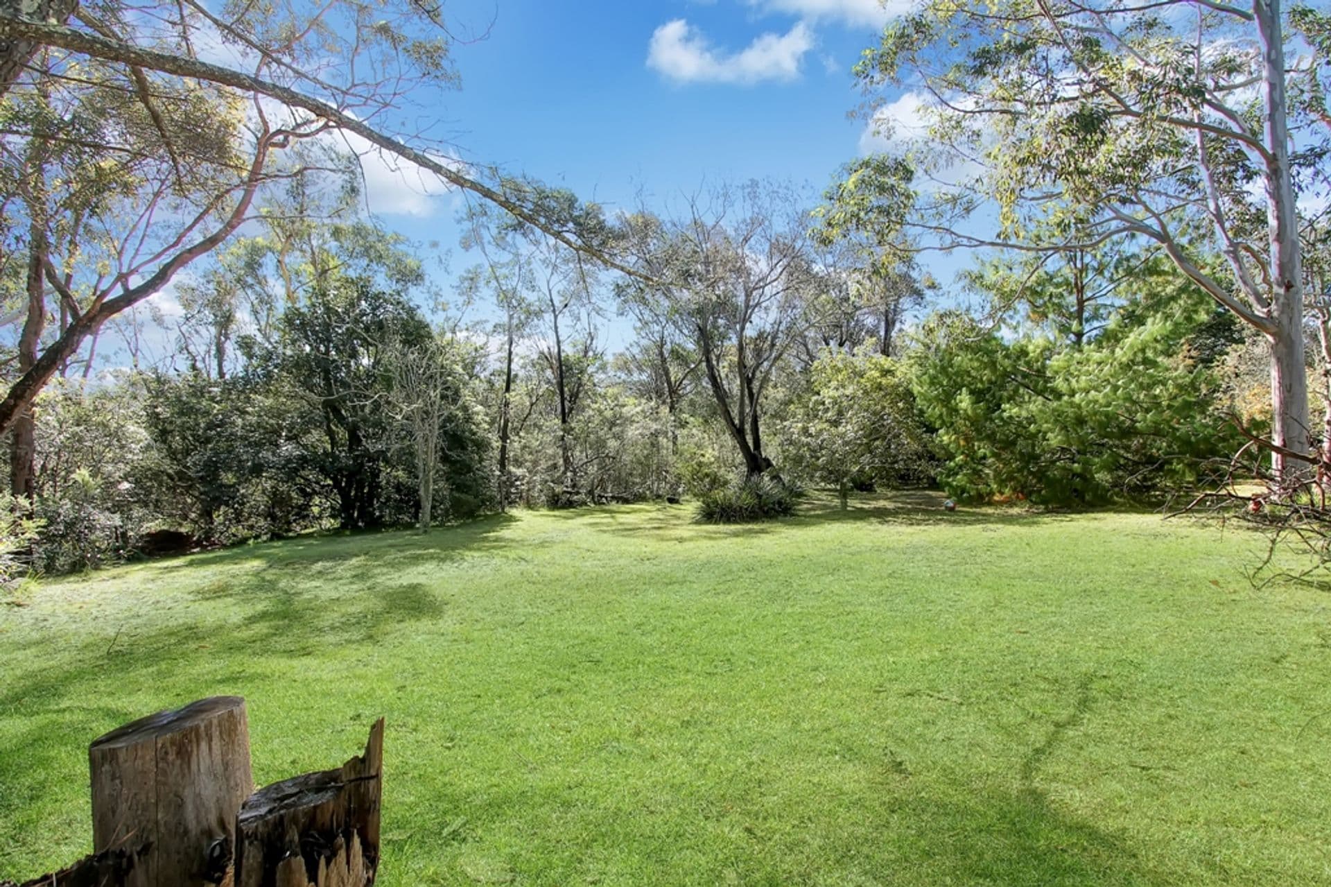 84 Queens Road, Lawson, NSW, 2783, Lawson - Thumbnail 2