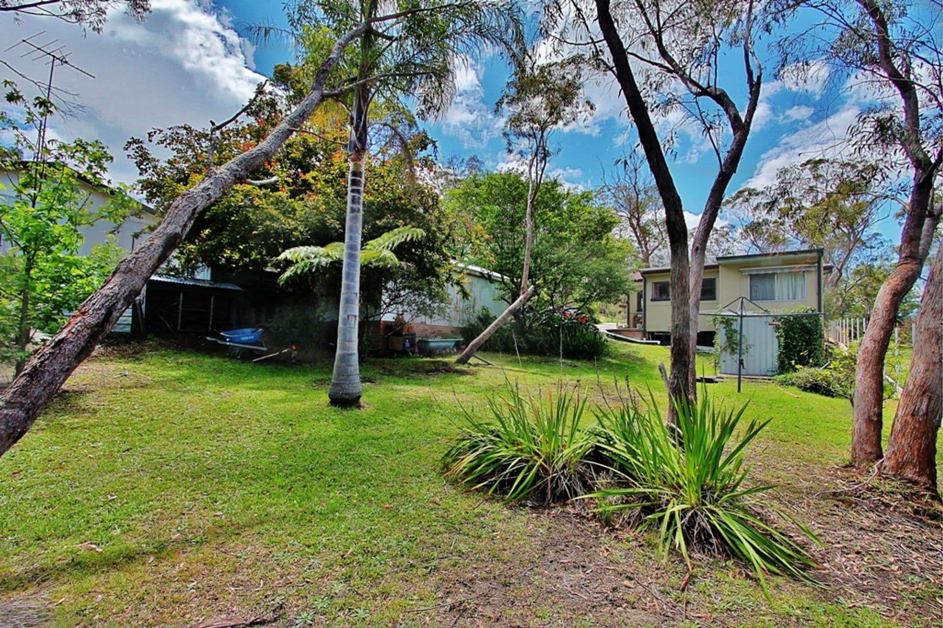 45 Bedford Road, Woodford, NSW, 2778, Woodford - Thumbnail 3
