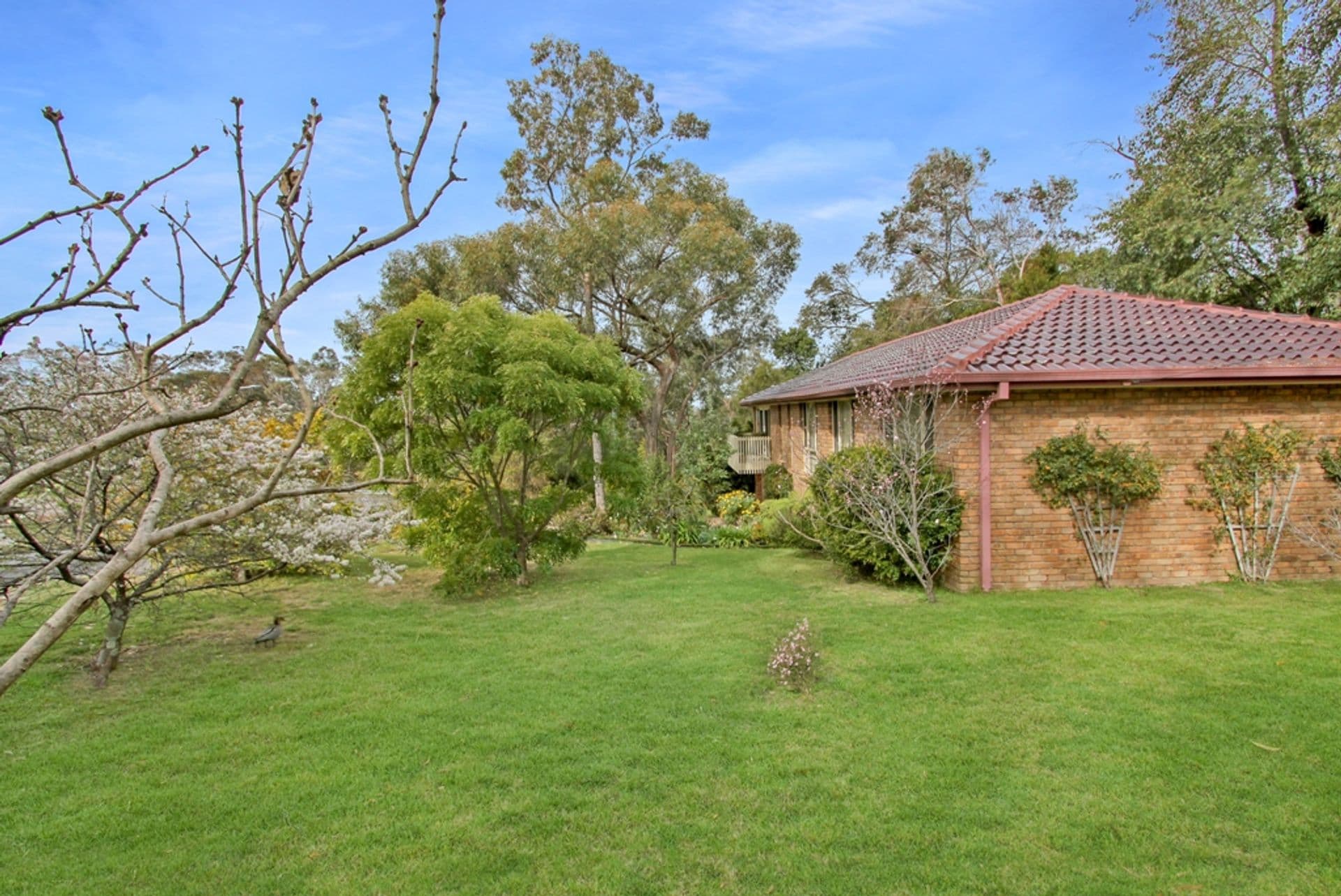 1 Saunders Road, Woodford, NSW, 2778, Woodford - Thumbnail 7