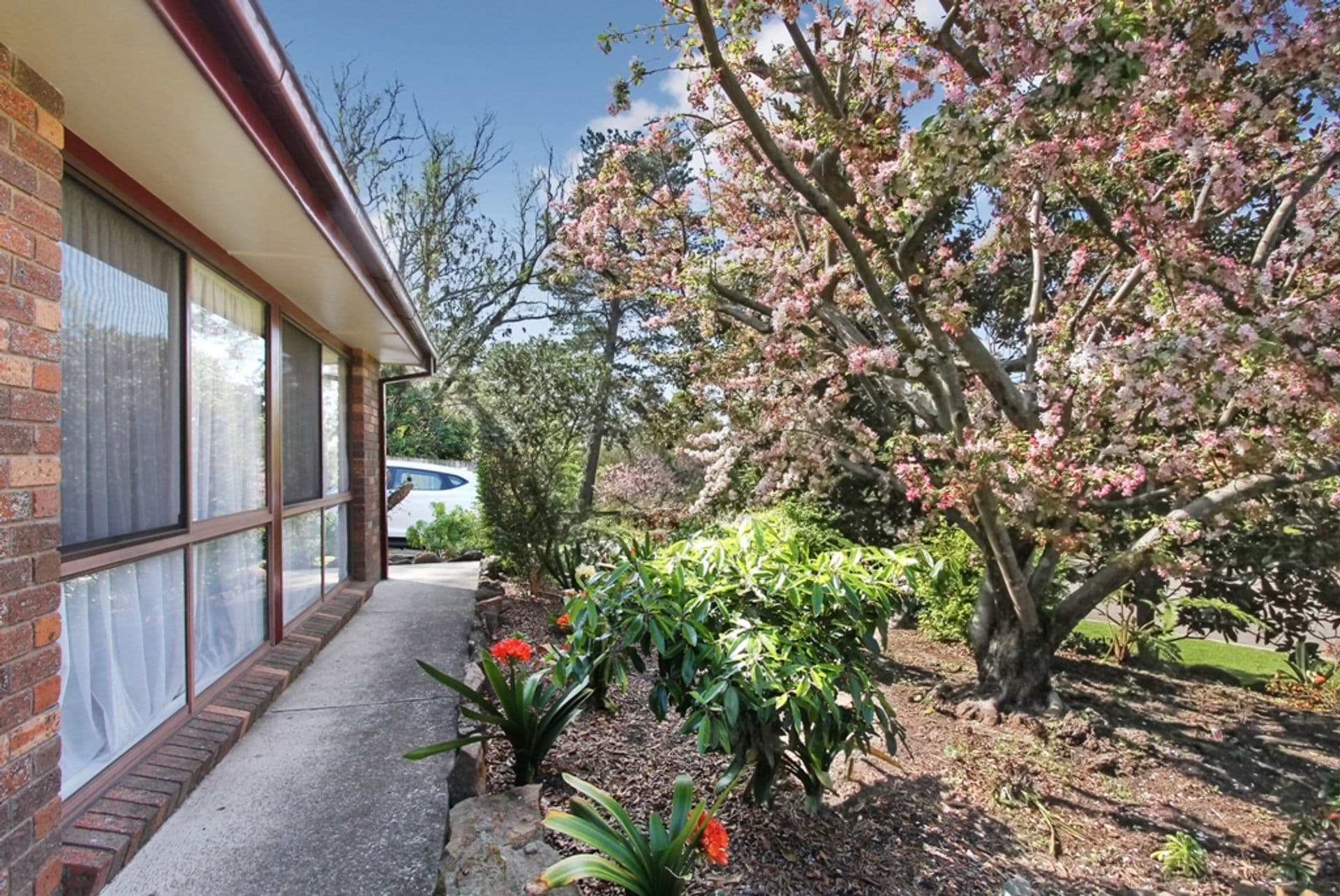 6 Pinnata Street, Woodford, NSW, 2778, Woodford - Thumbnail 5