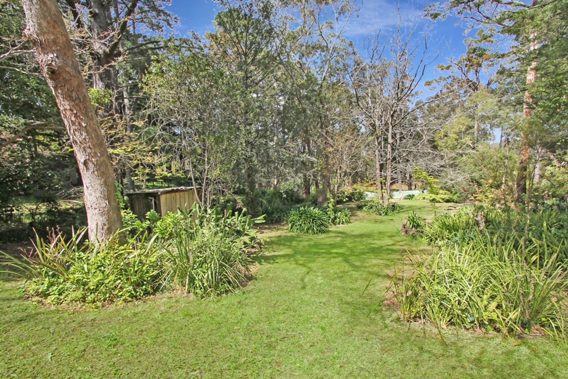 44 Kalinda Road, Bullaburra, NSW, 2784, Bullaburra - Thumbnail 7
