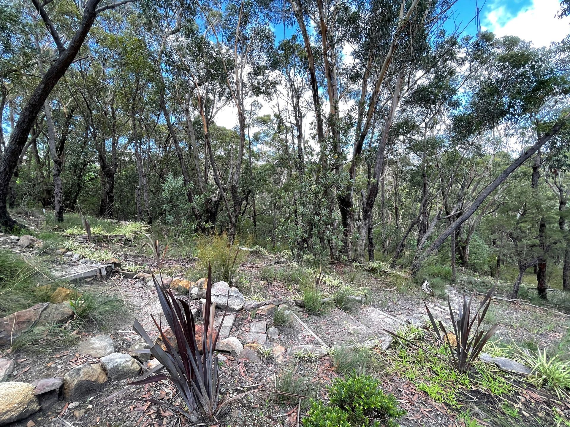 36 Kangaroo Street, Lawson, NSW, 2783, Lawson - Thumbnail 3