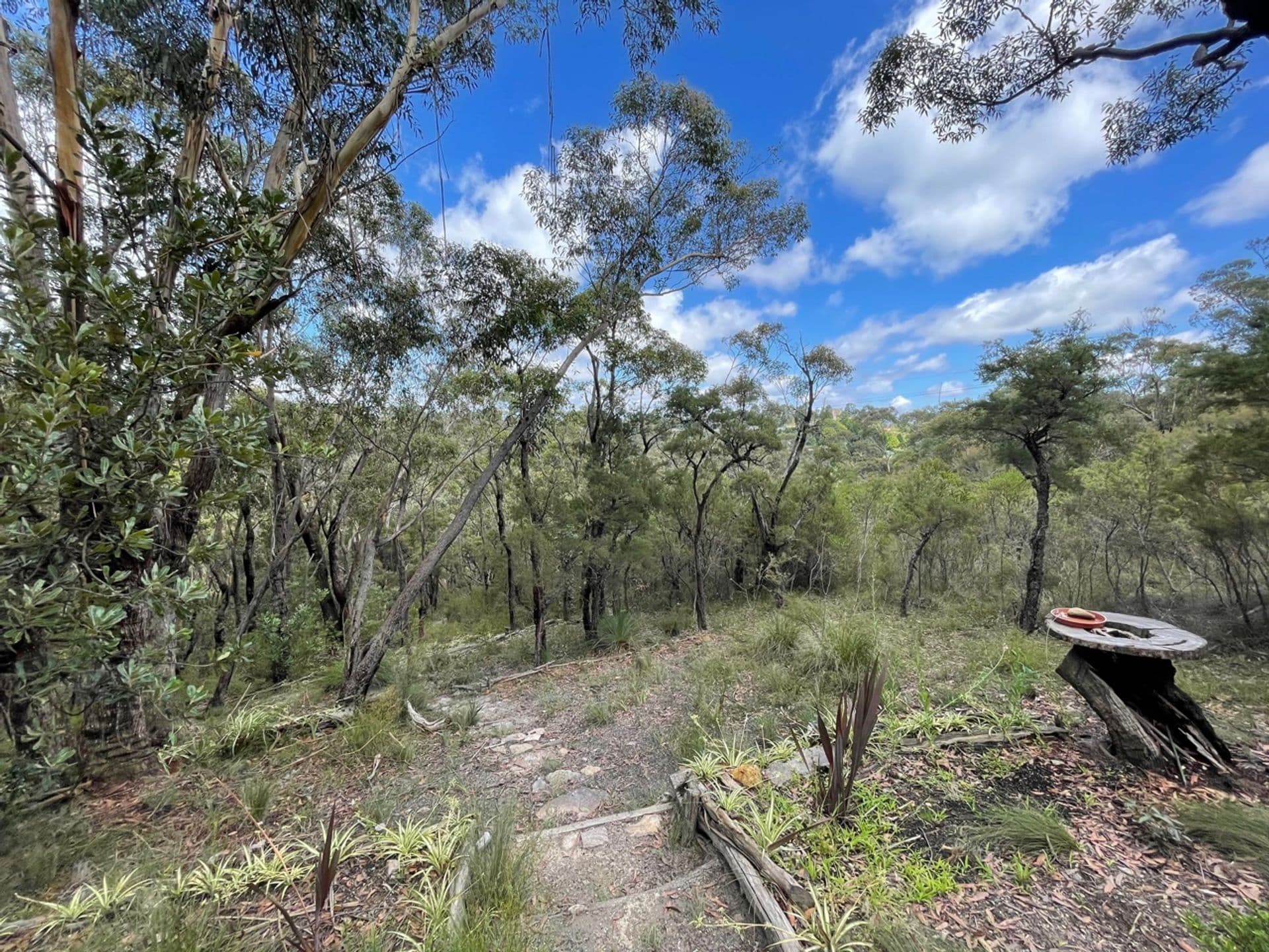 36 Kangaroo Street, Lawson, NSW, 2783, Lawson - Thumbnail 4