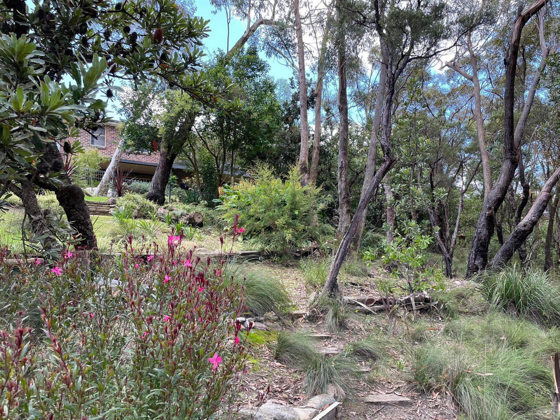 36 Kangaroo Street, Lawson, NSW, 2783, Lawson - Thumbnail 5
