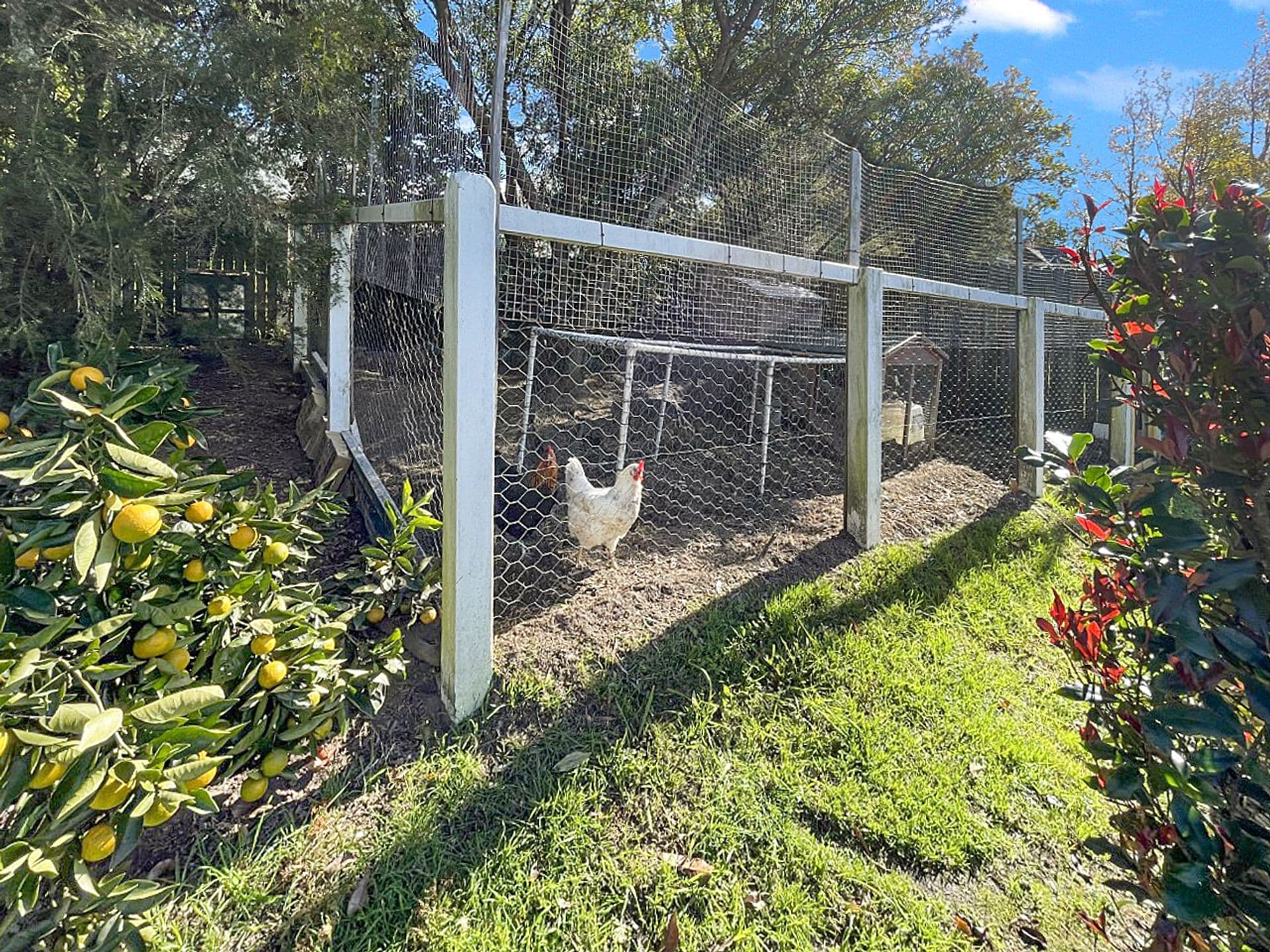 5 Kings Court, Lawson, NSW, 2783, Lawson - Thumbnail 7