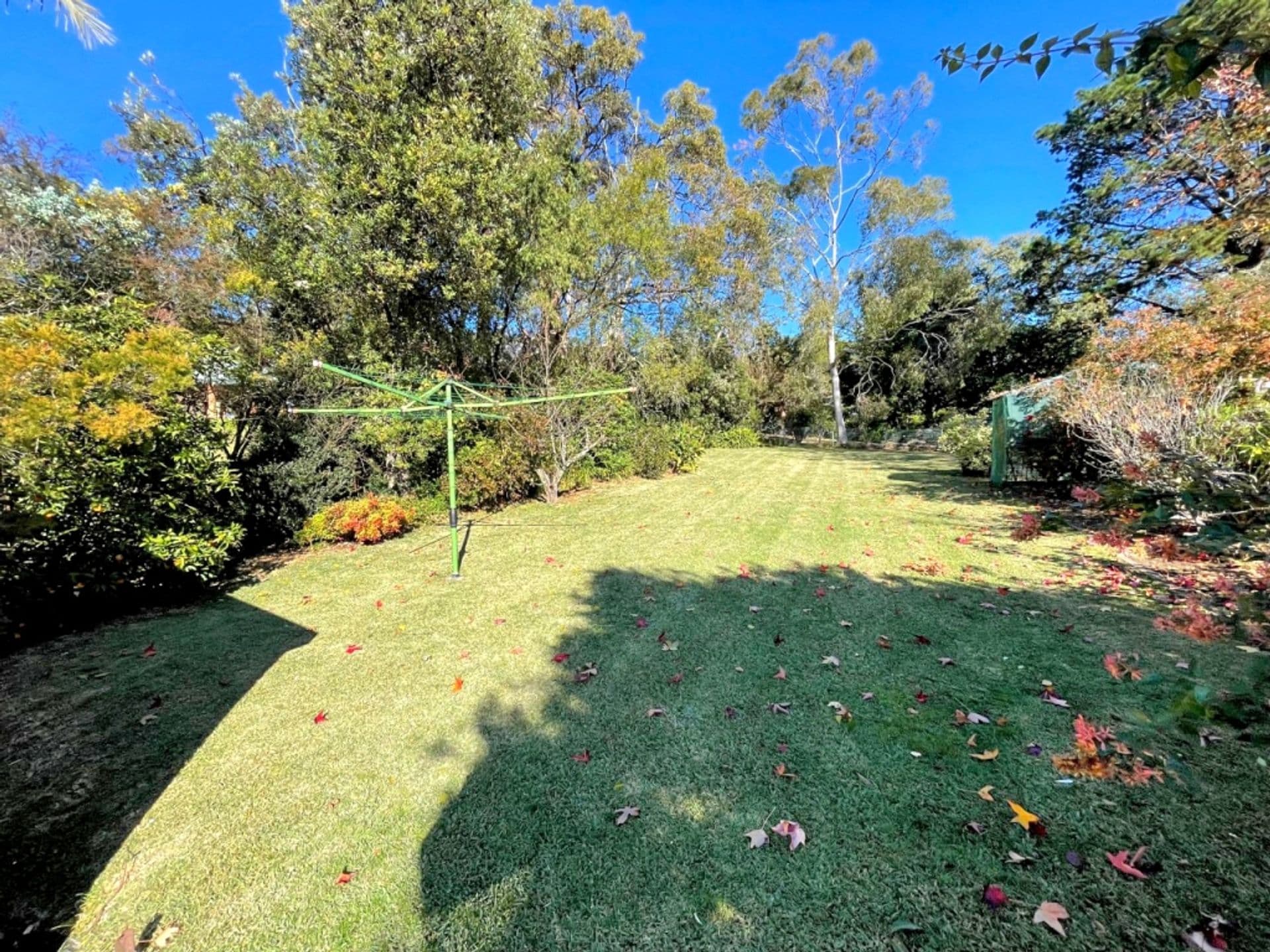 10 Alexander Avenue, Hazelbrook, NSW, 2779, Hazelbrook - Thumbnail 6