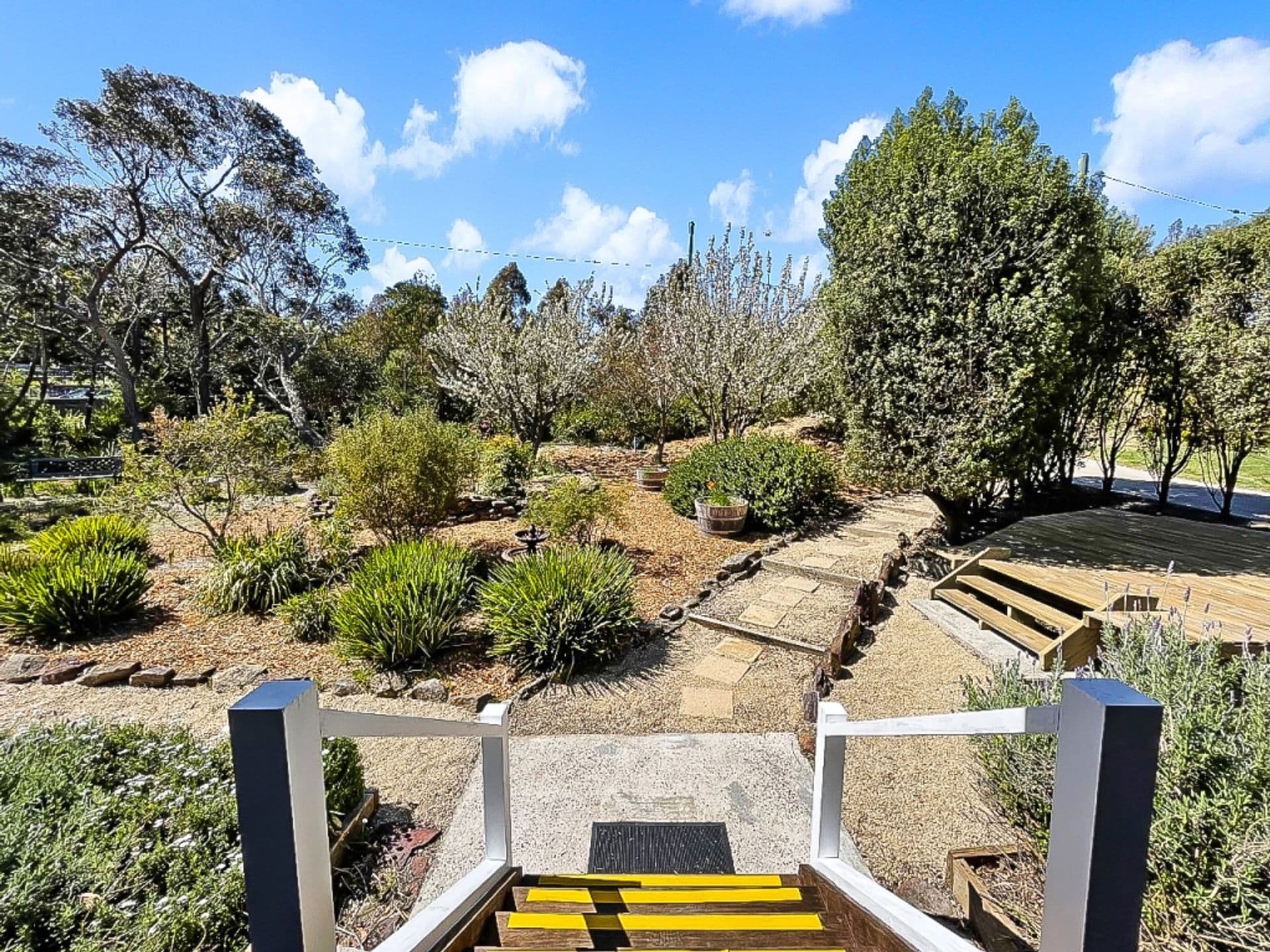 15 Shortland Street, Wentworth Falls, NSW, 2782, Wentworth Falls - Thumbnail 8