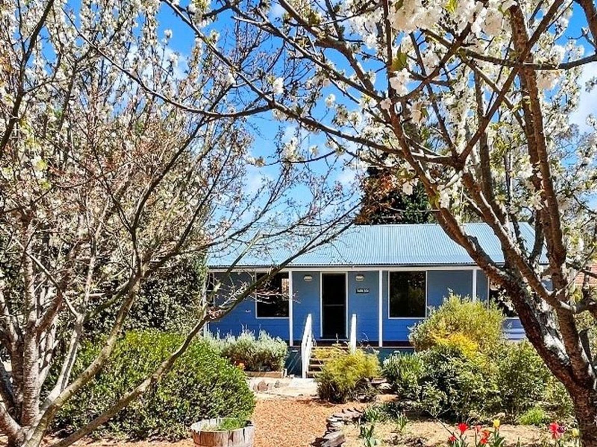 15 Shortland Street, Wentworth Falls, NSW, 2782, Wentworth Falls - Image 1