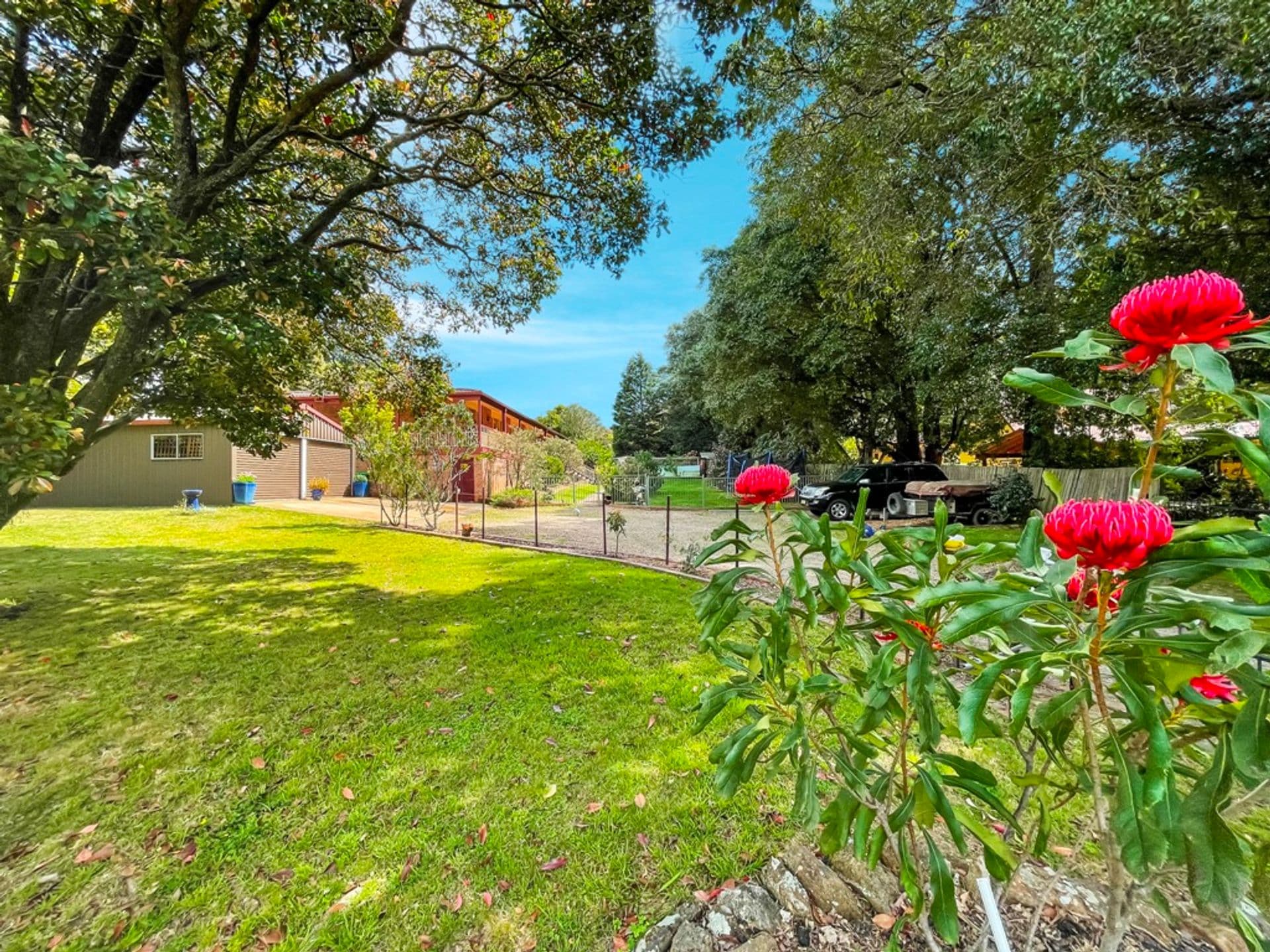 72 Oaklands Road, Hazelbrook, NSW, 2779, Hazelbrook - Thumbnail 2