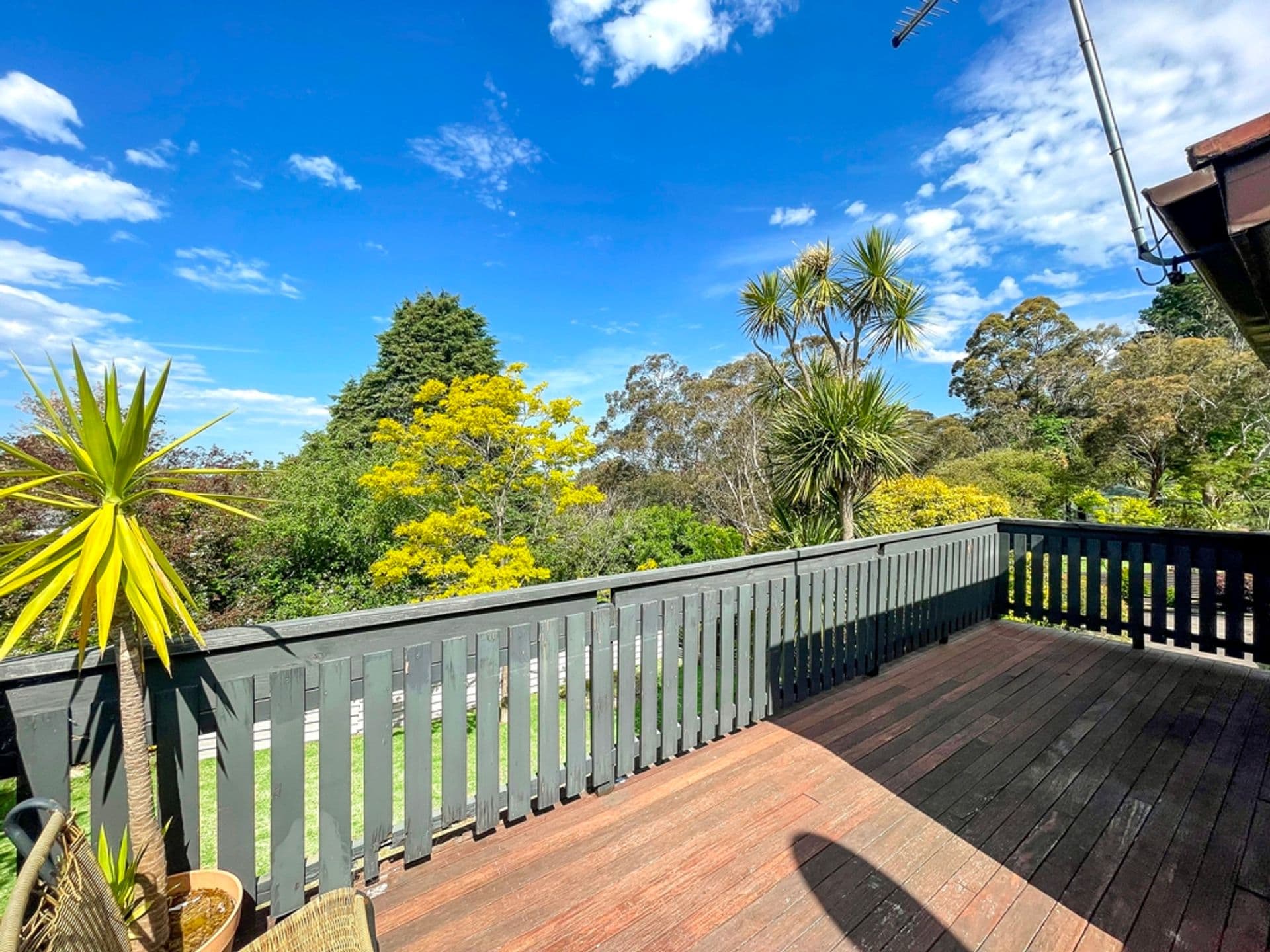 10 Lawson Street, Lawson, NSW, 2783, Lawson - Thumbnail 3