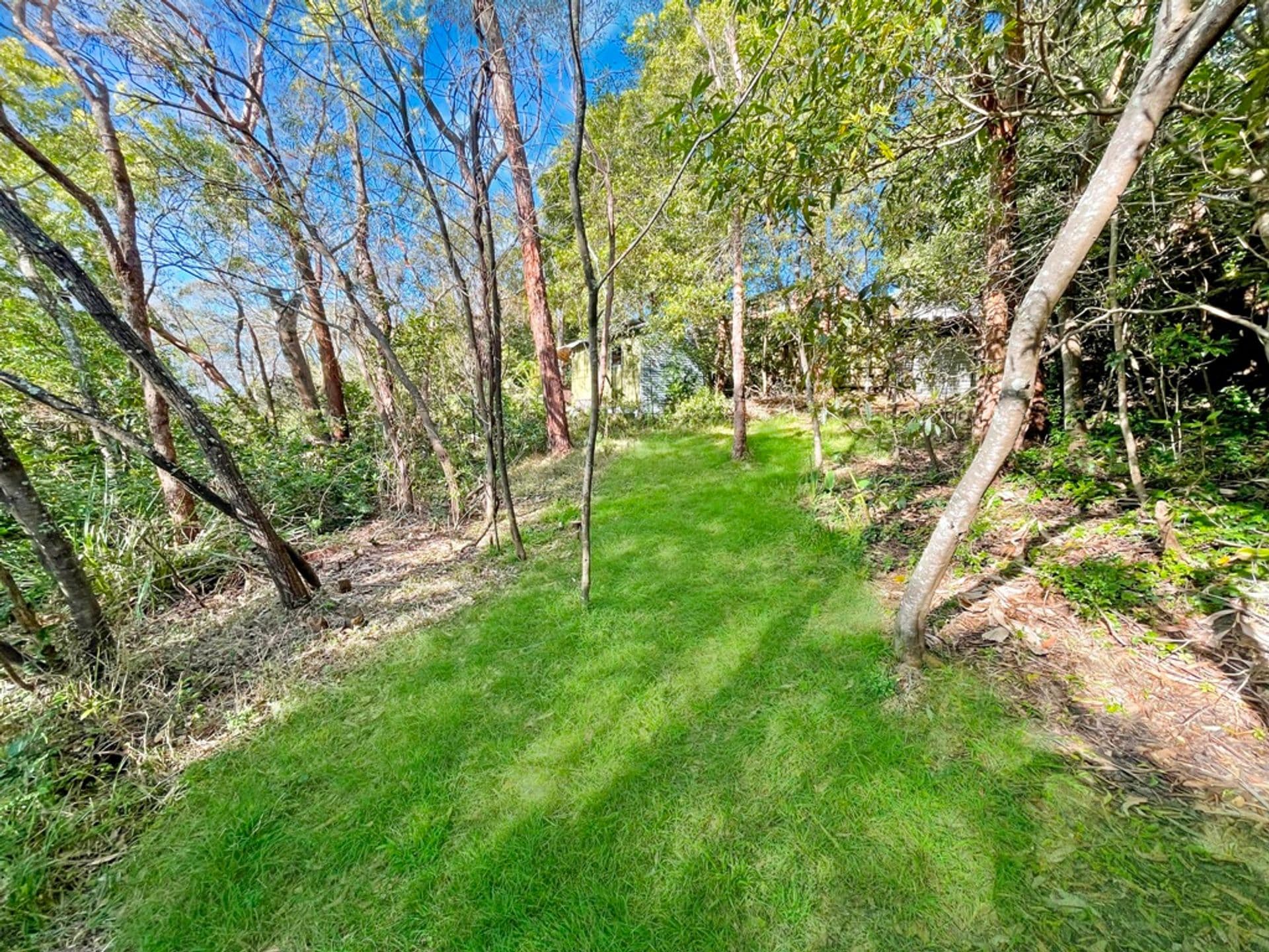 21 Talbot Road, Hazelbrook, NSW, 2779, Hazelbrook - Thumbnail 3